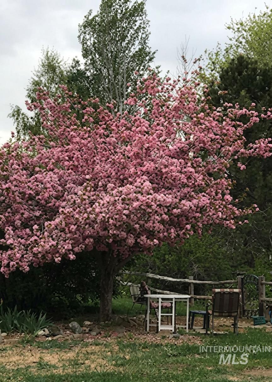 103 West 420 North, Shoshone, Idaho 83352, 3 Bedrooms, 2 Bathrooms, Residential For Sale, Price $625,000,MLS 98978497