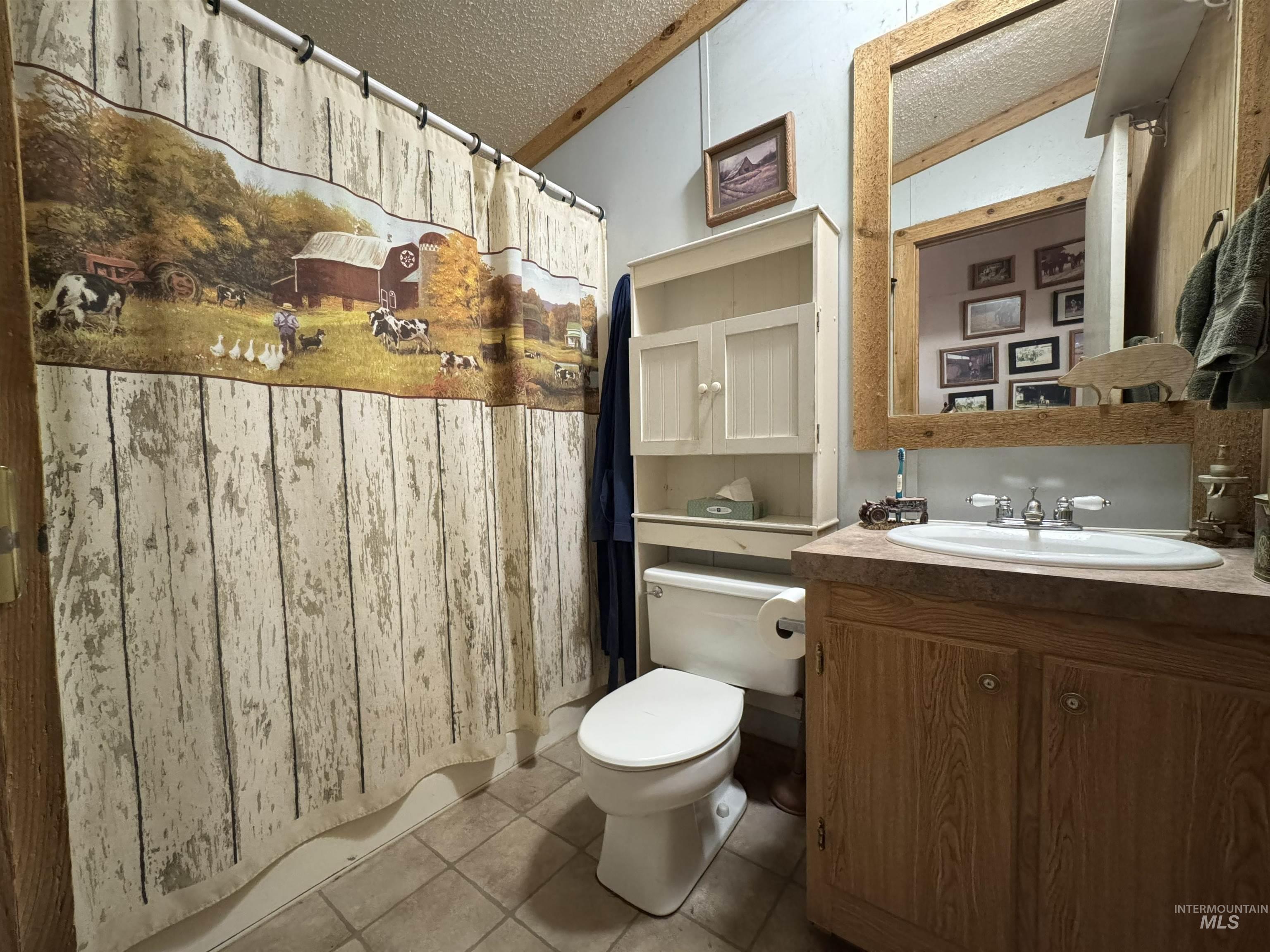 103 West 420 North, Shoshone, Idaho 83352, 3 Bedrooms, 2 Bathrooms, Farm & Ranch For Sale, Price $650,000,MLS 98978498