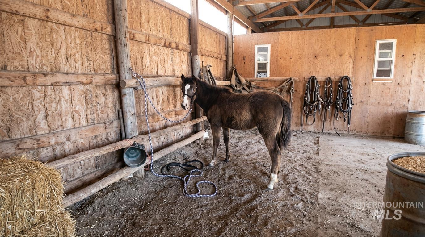 103 West 420 North, Shoshone, Idaho 83352, 3 Bedrooms, 2 Bathrooms, Farm & Ranch For Sale, Price $650,000,MLS 98978498