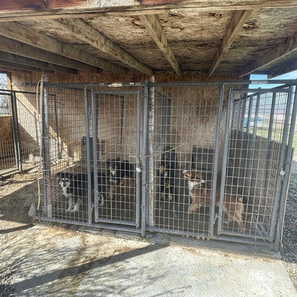 103 West 420 North, Shoshone, Idaho 83352, 3 Bedrooms, 2 Bathrooms, Farm & Ranch For Sale, Price $650,000,MLS 98978498