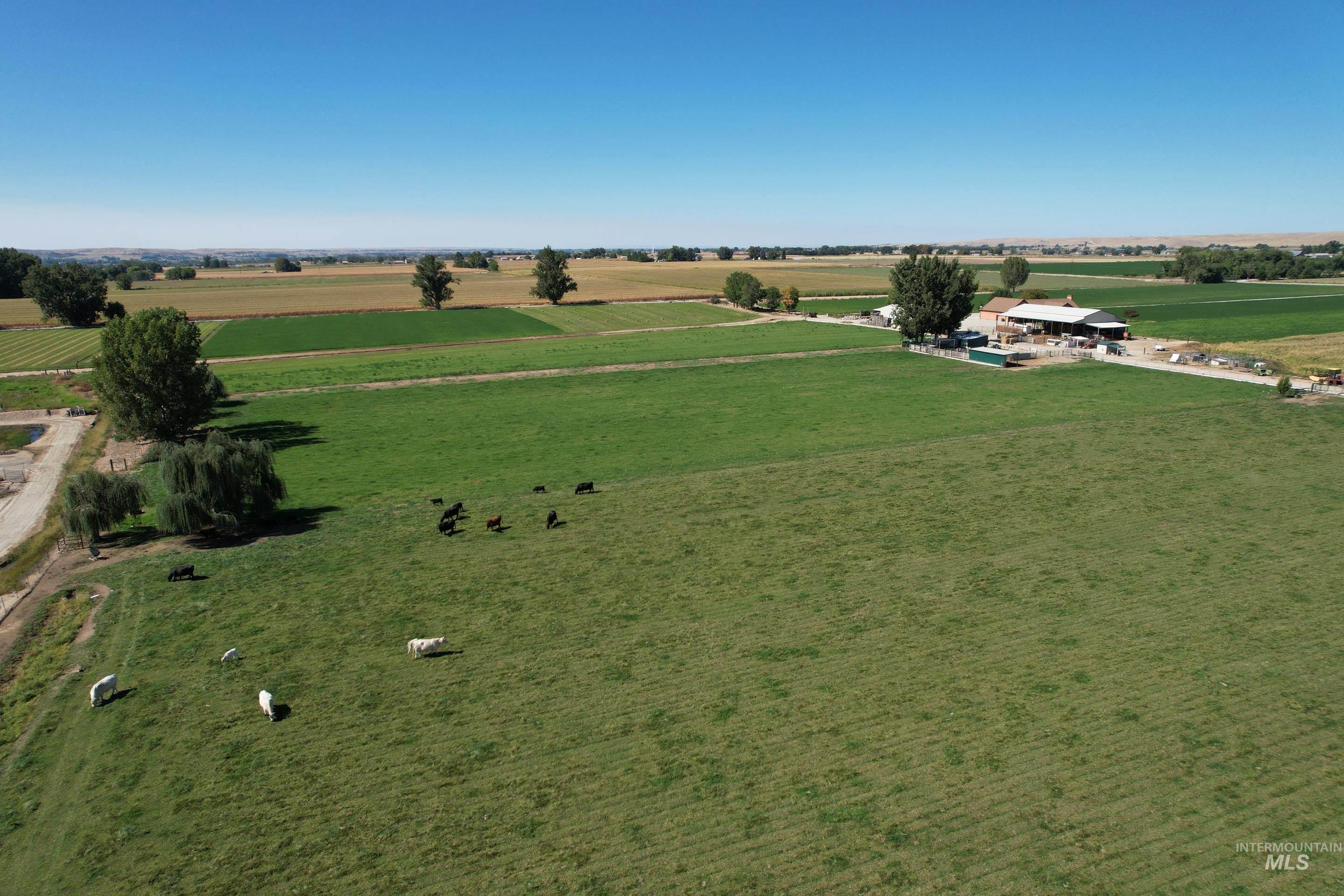 4367 W Central Road, Emmett, Idaho 83617, 3 Bedrooms, 2 Bathrooms, Farm & Ranch For Sale, Price $2,700,000,MLS 98978505