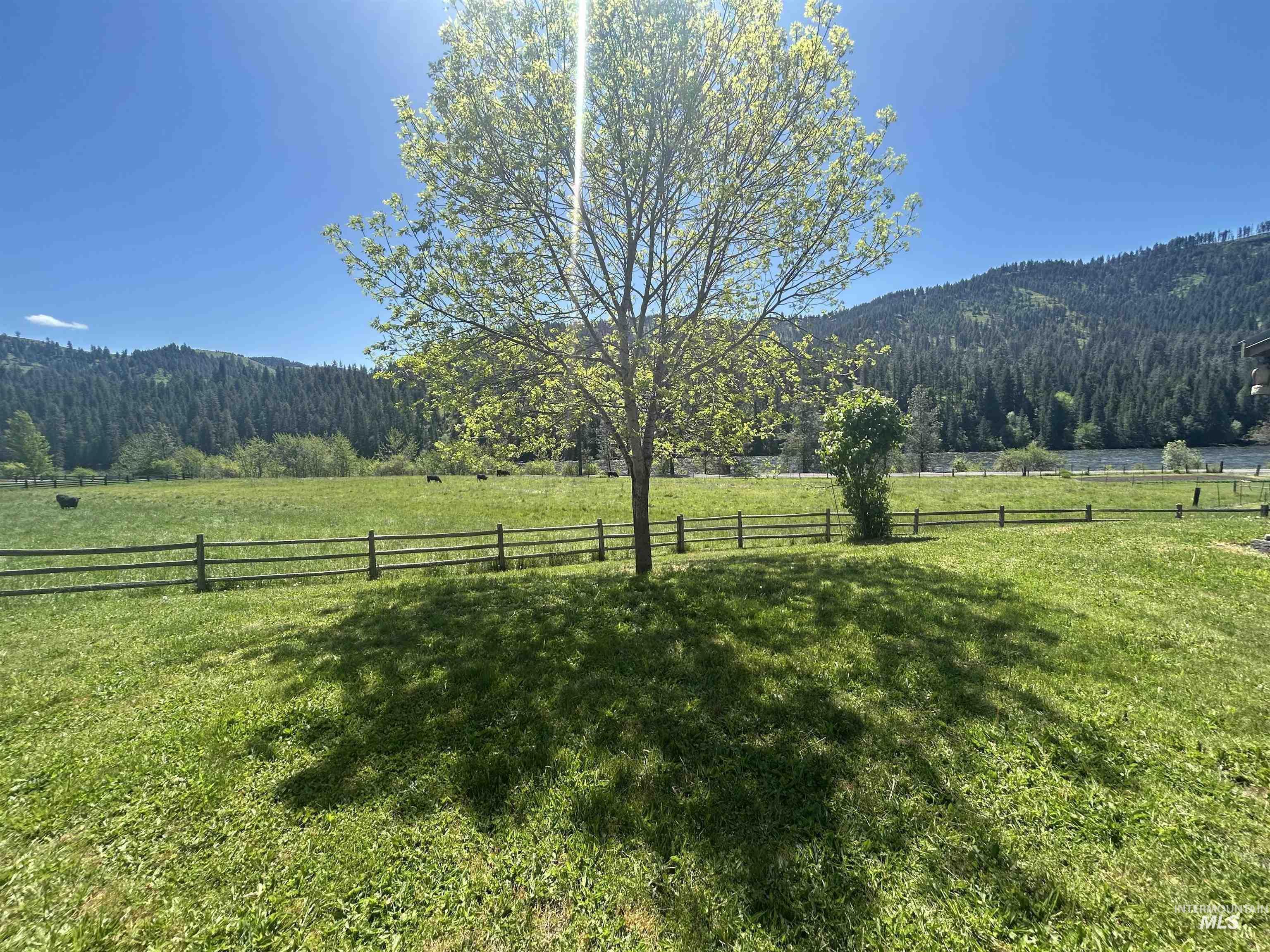 6215 Highway 12, Kooskia, Idaho 83539, 2 Bedrooms, 1 Bathroom, Residential For Sale, Price $692,000,MLS 98978527