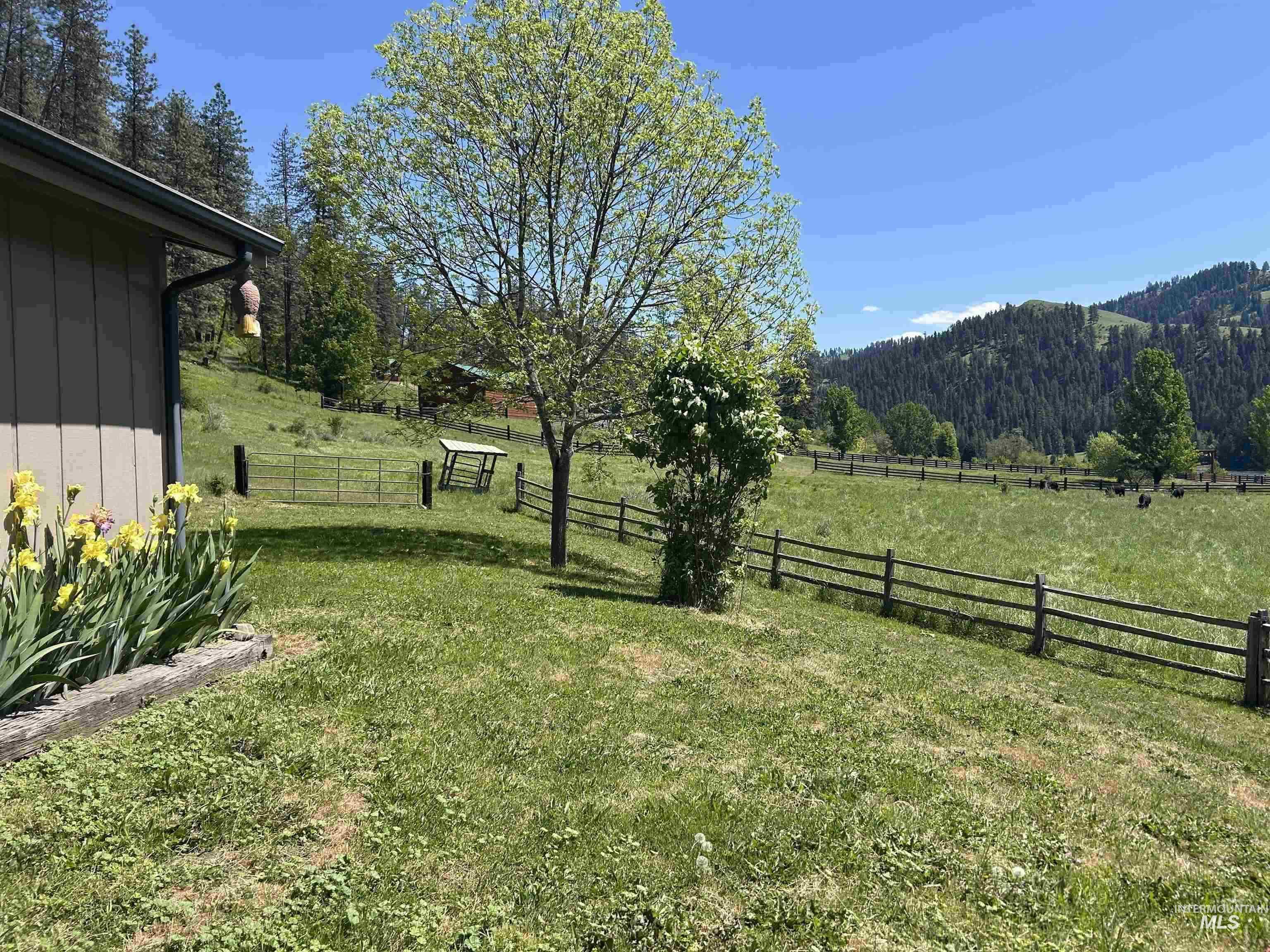 6215 Highway 12, Kooskia, Idaho 83539, 2 Bedrooms, 1 Bathroom, Residential For Sale, Price $692,000,MLS 98978527