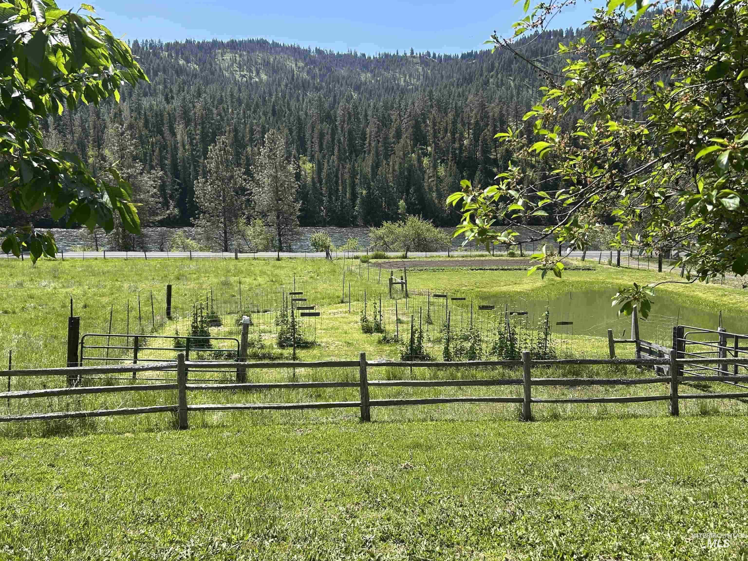 6215 Highway 12, Kooskia, Idaho 83539, 2 Bedrooms, 1 Bathroom, Residential For Sale, Price $692,000,MLS 98978527
