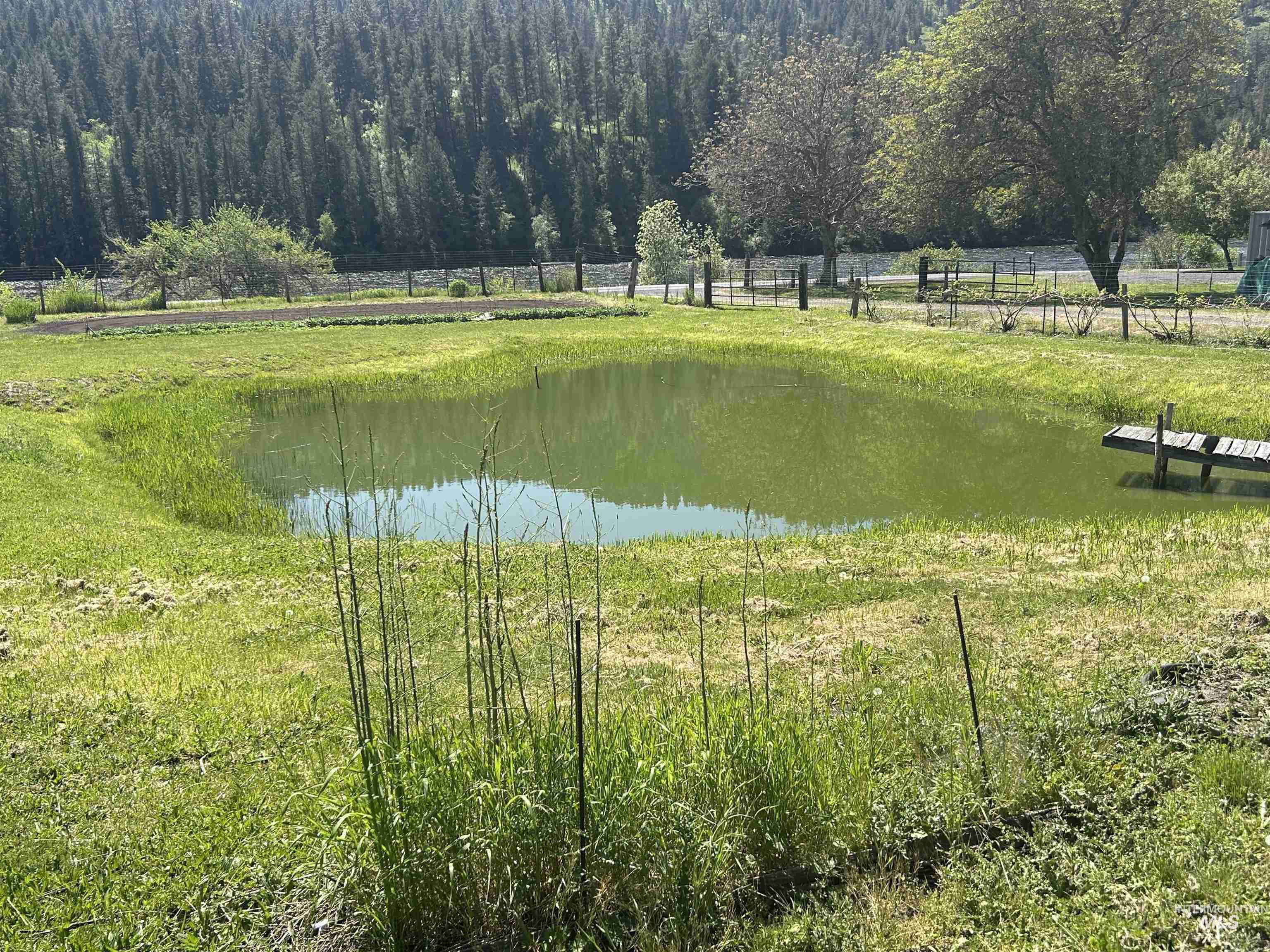 6215 Highway 12, Kooskia, Idaho 83539, 2 Bedrooms, 1 Bathroom, Residential For Sale, Price $692,000,MLS 98978527