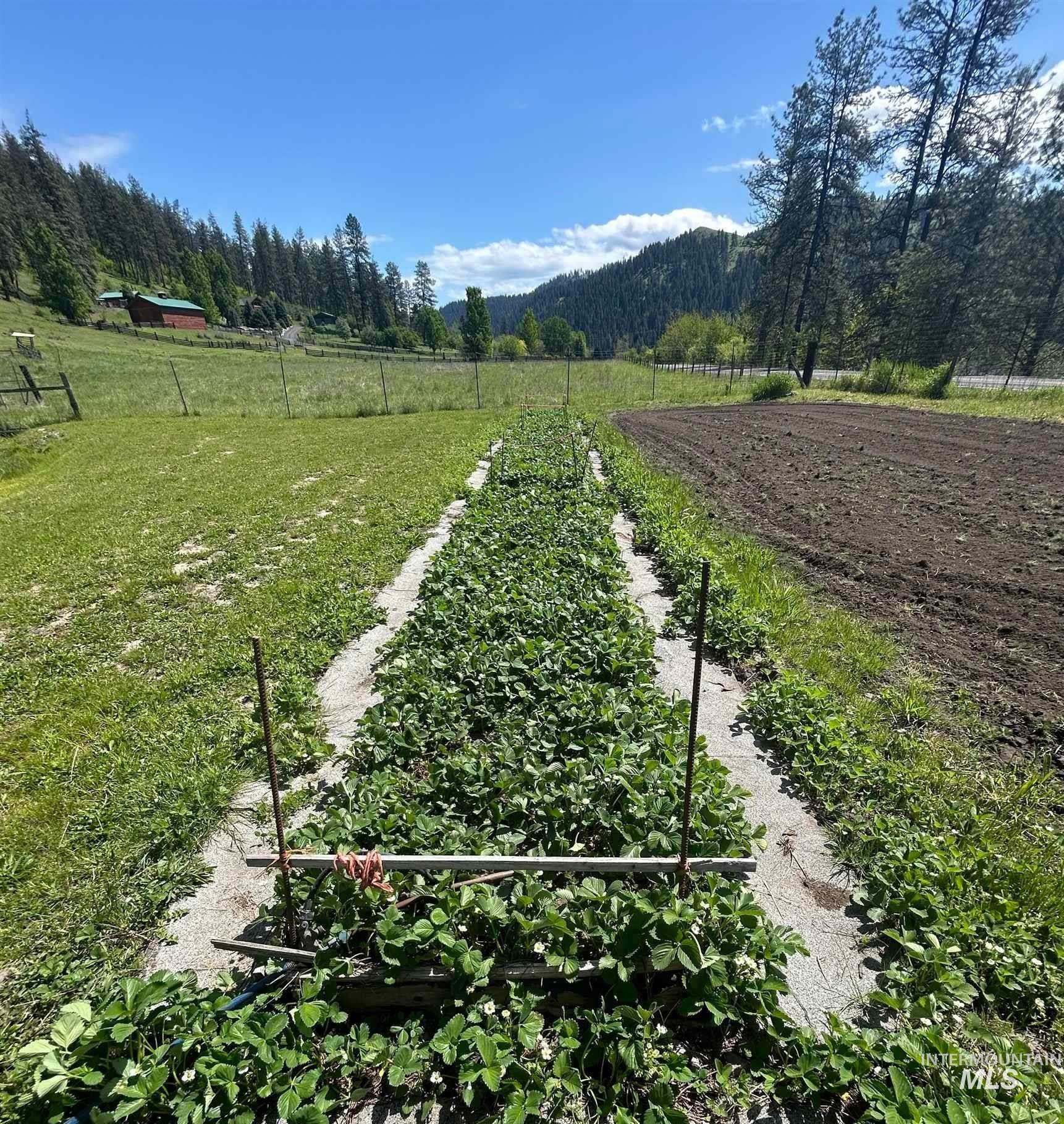 6215 Highway 12, Kooskia, Idaho 83539, 2 Bedrooms, 1 Bathroom, Residential For Sale, Price $692,000,MLS 98978527