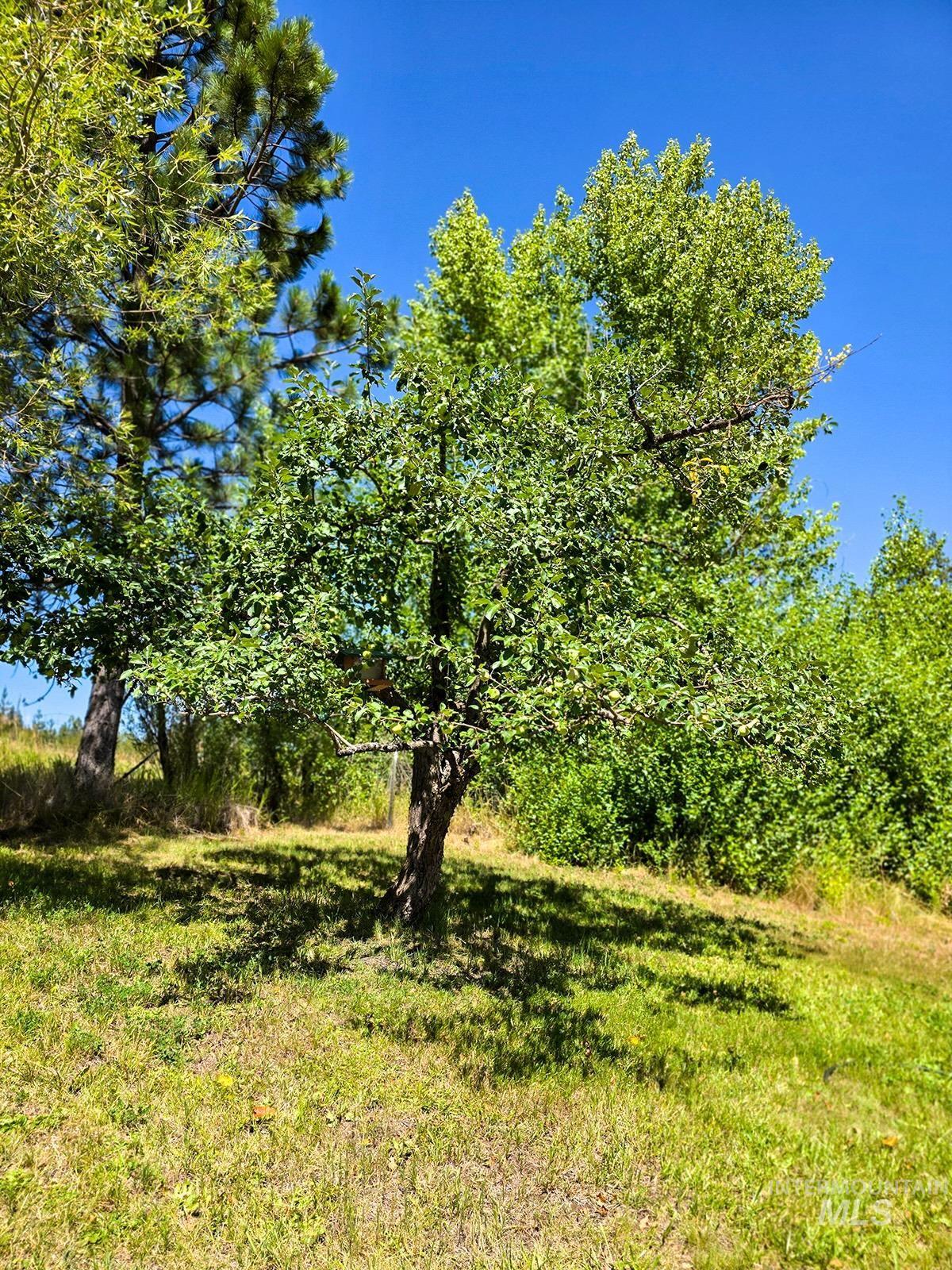 1031 Spring Valley Road, Troy, Idaho 83871, 2 Bedrooms, 1 Bathroom, Residential For Sale, Price $460,000,MLS 98978530