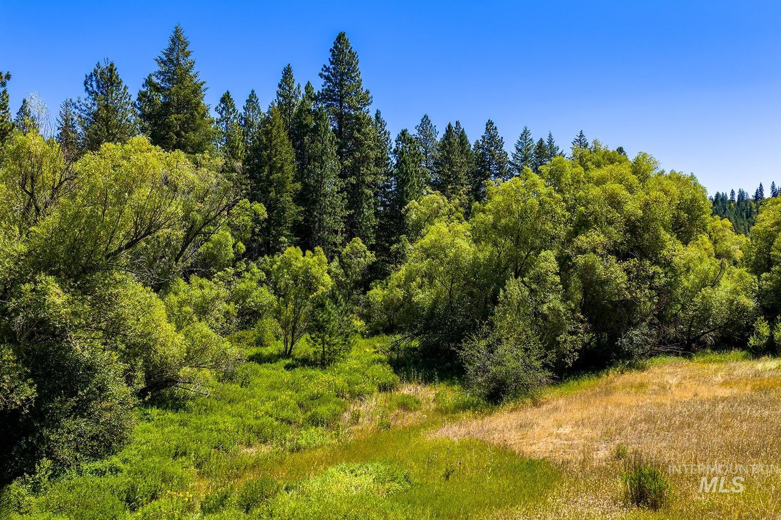 1031 Spring Valley Road, Troy, Idaho 83871, 2 Bedrooms, 1 Bathroom, Residential For Sale, Price $460,000,MLS 98978530