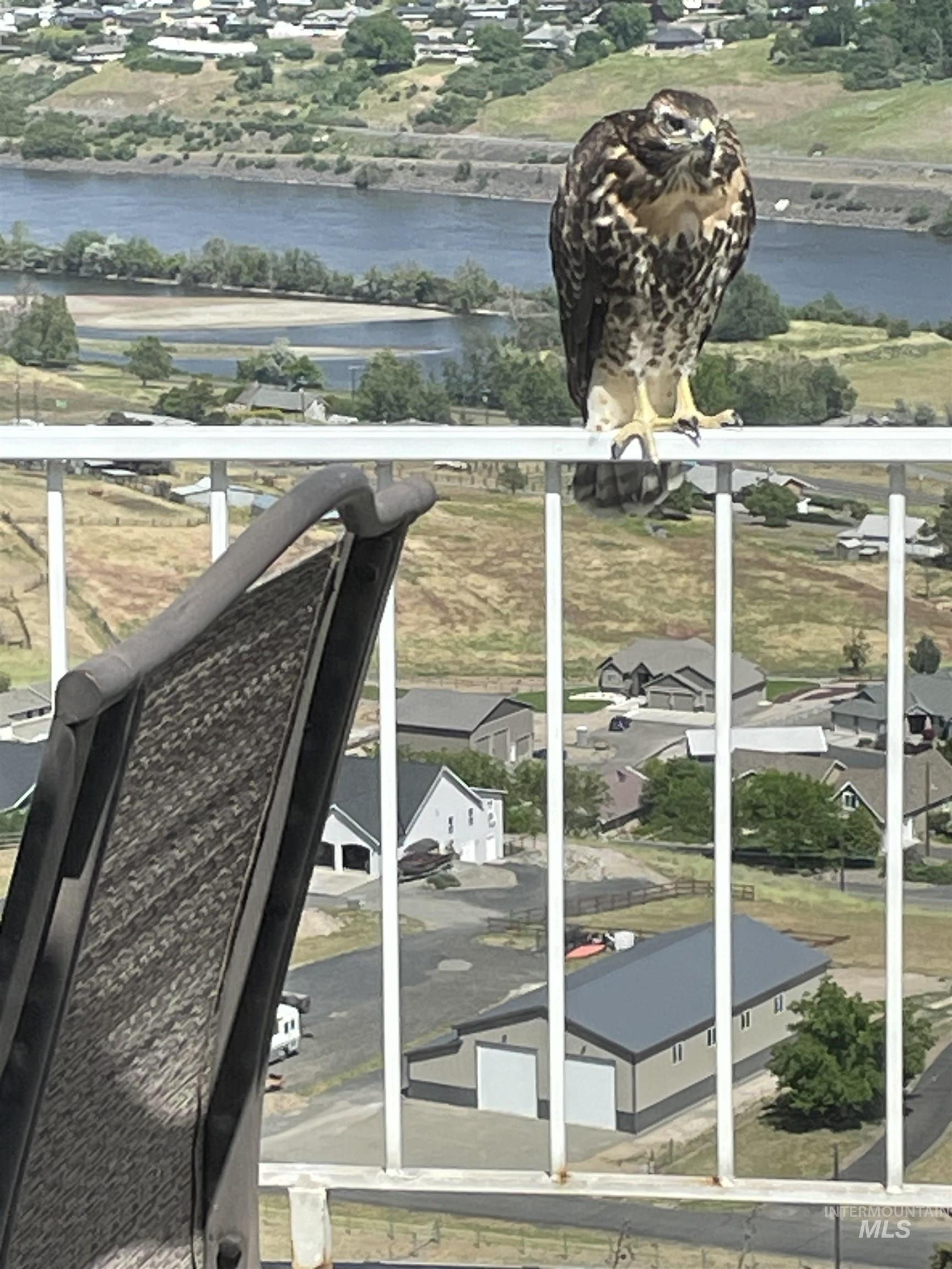 3015 Grandview Dr, Clarkston, Washington 99403, 4 Bedrooms, 3 Bathrooms, Residential For Sale, Price $849,000,MLS 98978537