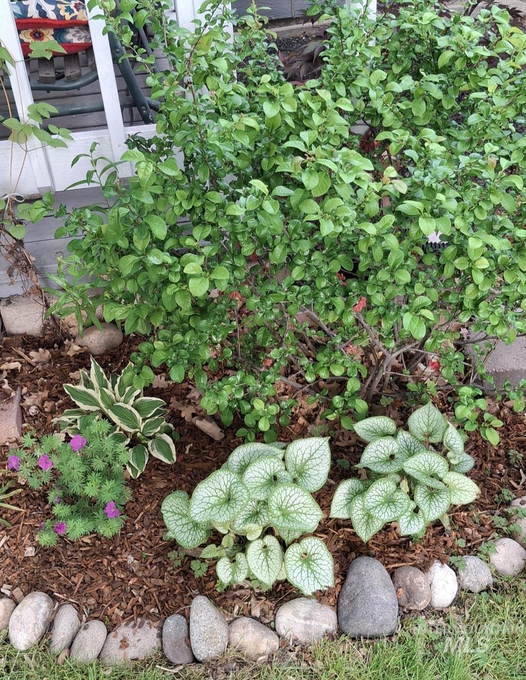 1305 S Leadville, Boise, Idaho 83706, 3 Bedrooms, 1 Bathroom, Residential For Sale, Price $510,000,MLS 98978541