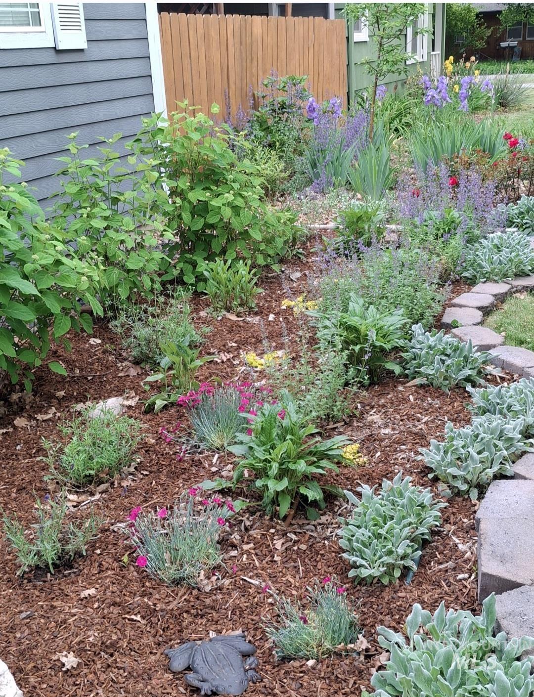 1305 S Leadville, Boise, Idaho 83706, 3 Bedrooms, 1 Bathroom, Residential For Sale, Price $510,000,MLS 98978541