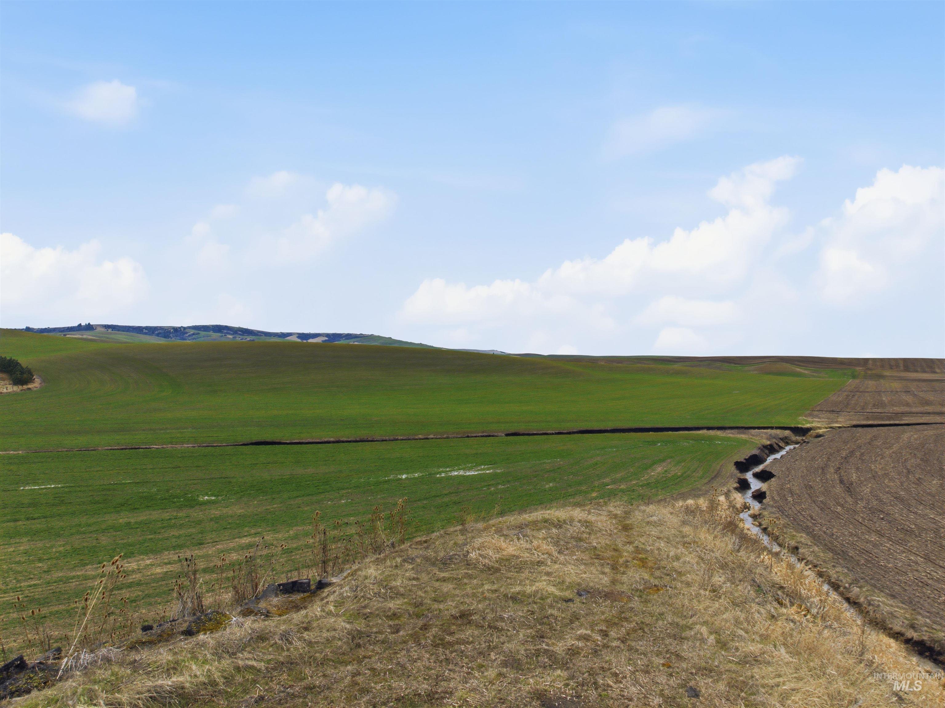 3625 Highway 95, Moscow, Idaho 83843, 3 Bedrooms, 2 Bathrooms, Residential For Sale, Price $445,000, 98978597