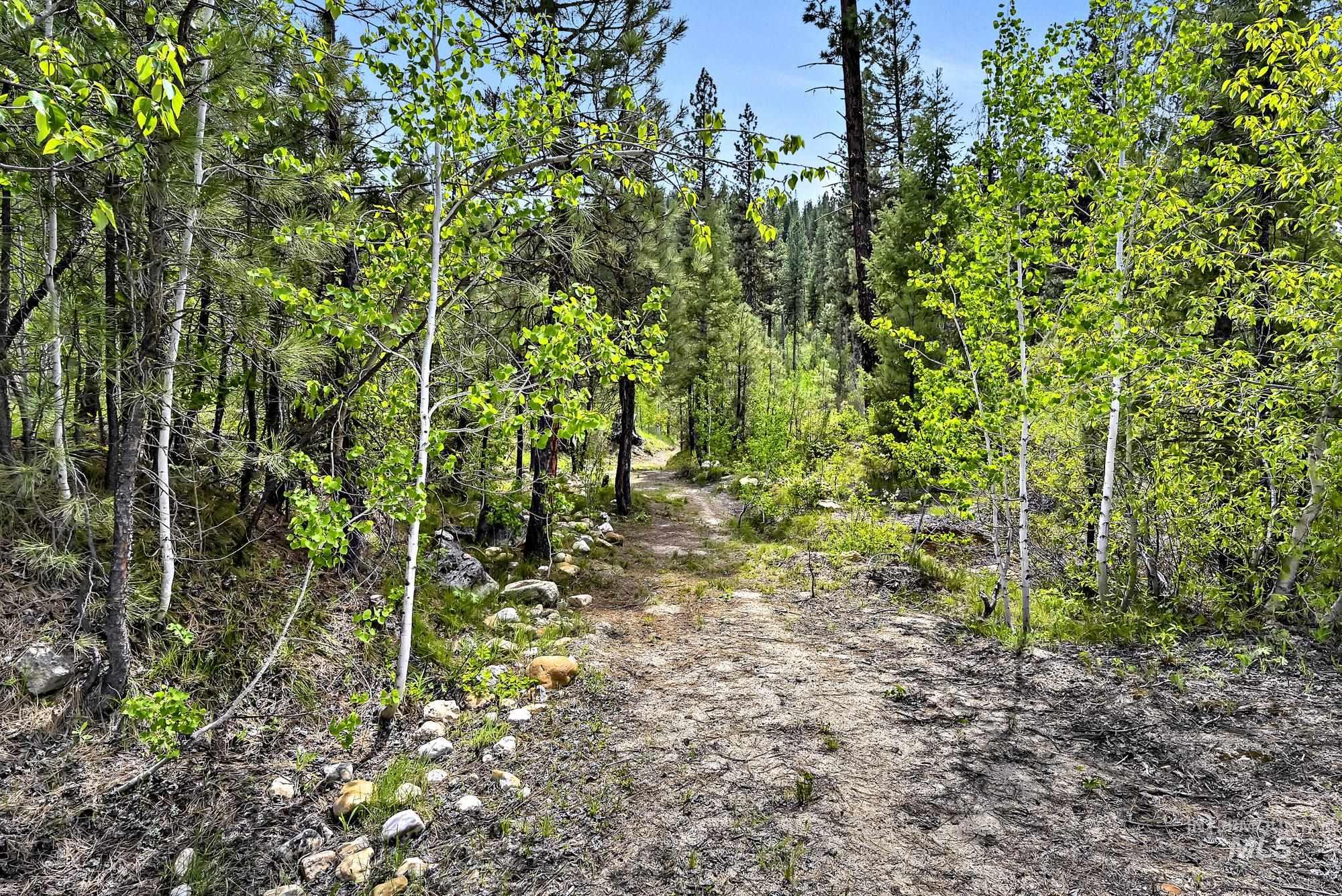 9 Crescent Cir, Idaho City, Idaho 83631, Land For Sale, Price $270,000, 98978601