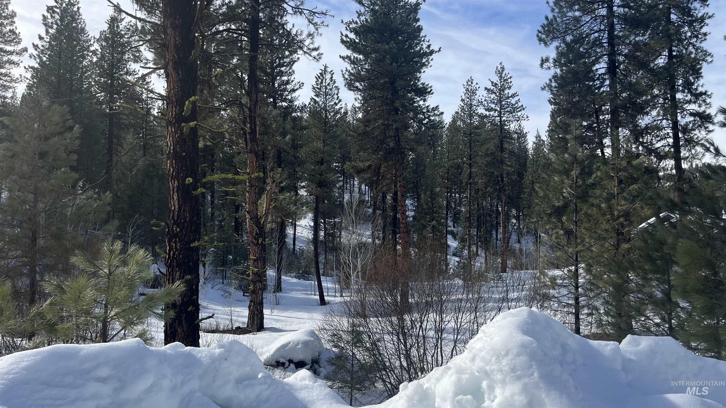 9 Crescent Cir, Idaho City, Idaho 83631, Land For Sale, Price $270,000, 98978601