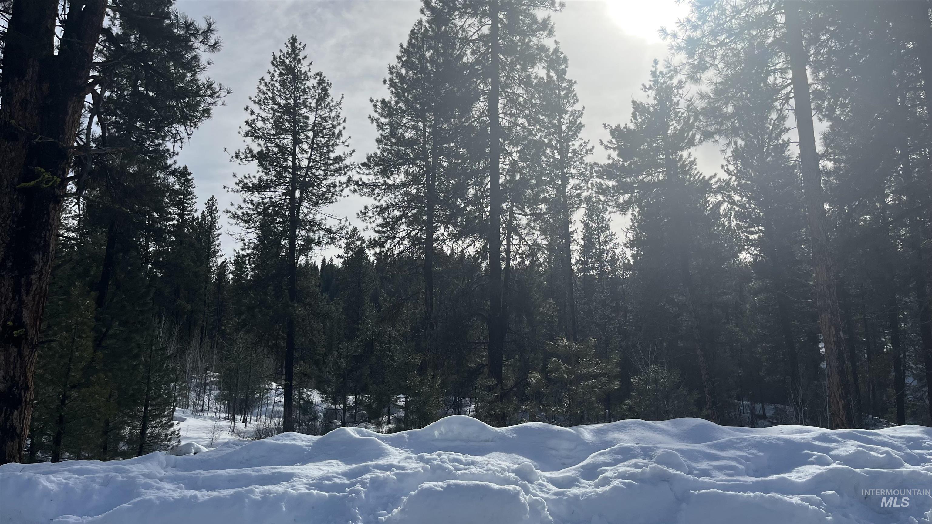 9 Crescent Cir, Idaho City, Idaho 83631, Land For Sale, Price $270,000, 98978601