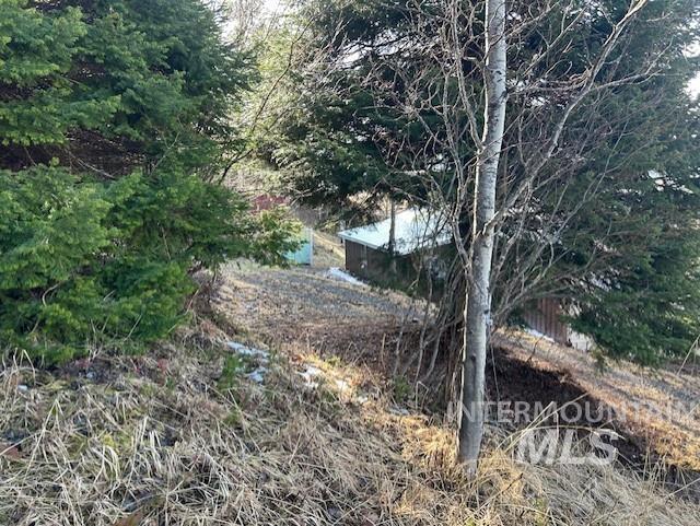 820 Sweeney Hill Rd, Elk City, Idaho 83525, 3 Bedrooms, 1.5 Bathrooms, Residential For Sale, Price $265,000, 98978605