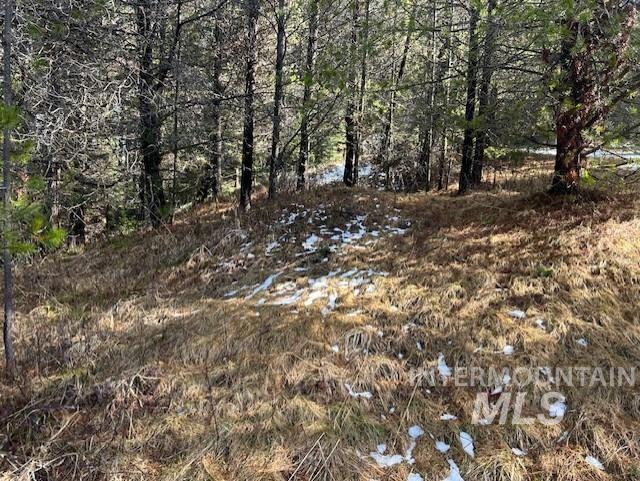 820 Sweeney Hill Rd, Elk City, Idaho 83525, 3 Bedrooms, 1.5 Bathrooms, Residential For Sale, Price $265,000, 98978605