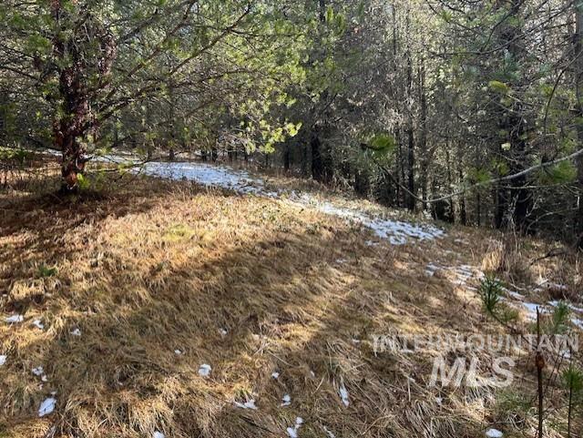 820 Sweeney Hill Rd, Elk City, Idaho 83525, 3 Bedrooms, 1.5 Bathrooms, Residential For Sale, Price $265,000, 98978605