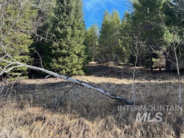 820 Sweeney Hill Rd, Elk City, Idaho 83525, 3 Bedrooms, 1.5 Bathrooms, Residential For Sale, Price $265,000, 98978605