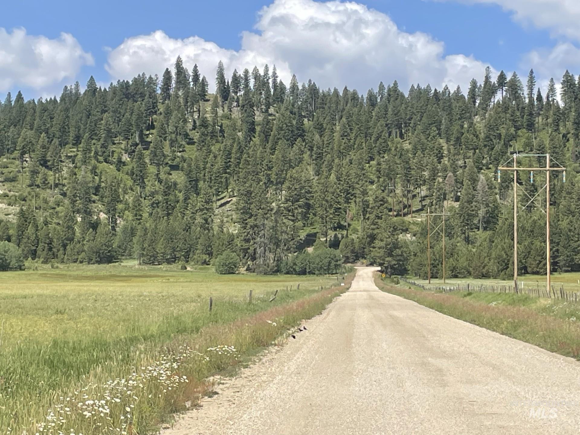163.21 AC Gray Lane, Cascade, Idaho 83611, Land For Sale, Price $649,900, 98978628