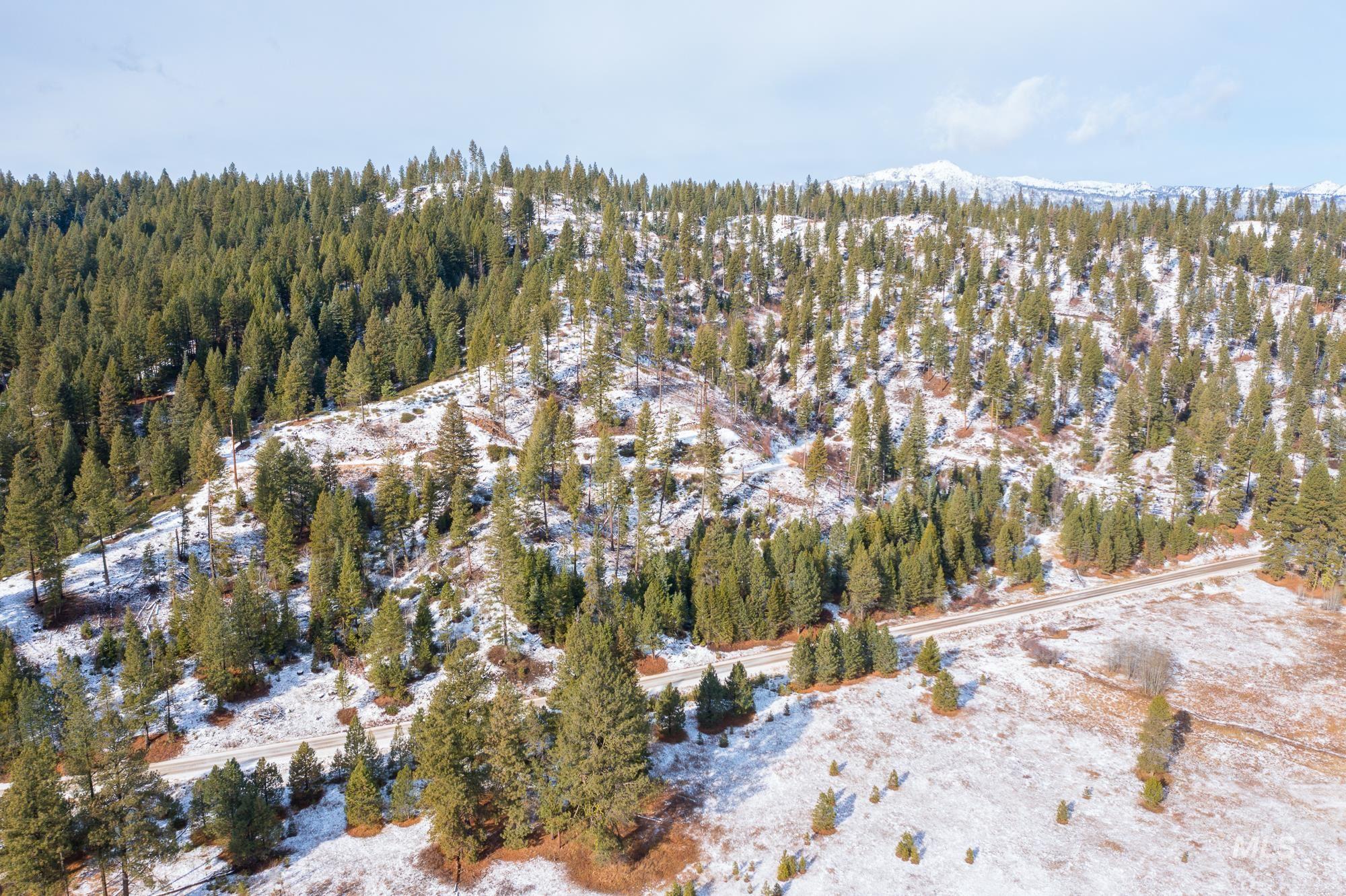 163.21 AC Gray Lane, Cascade, Idaho 83611, Land For Sale, Price $649,900, 98978628