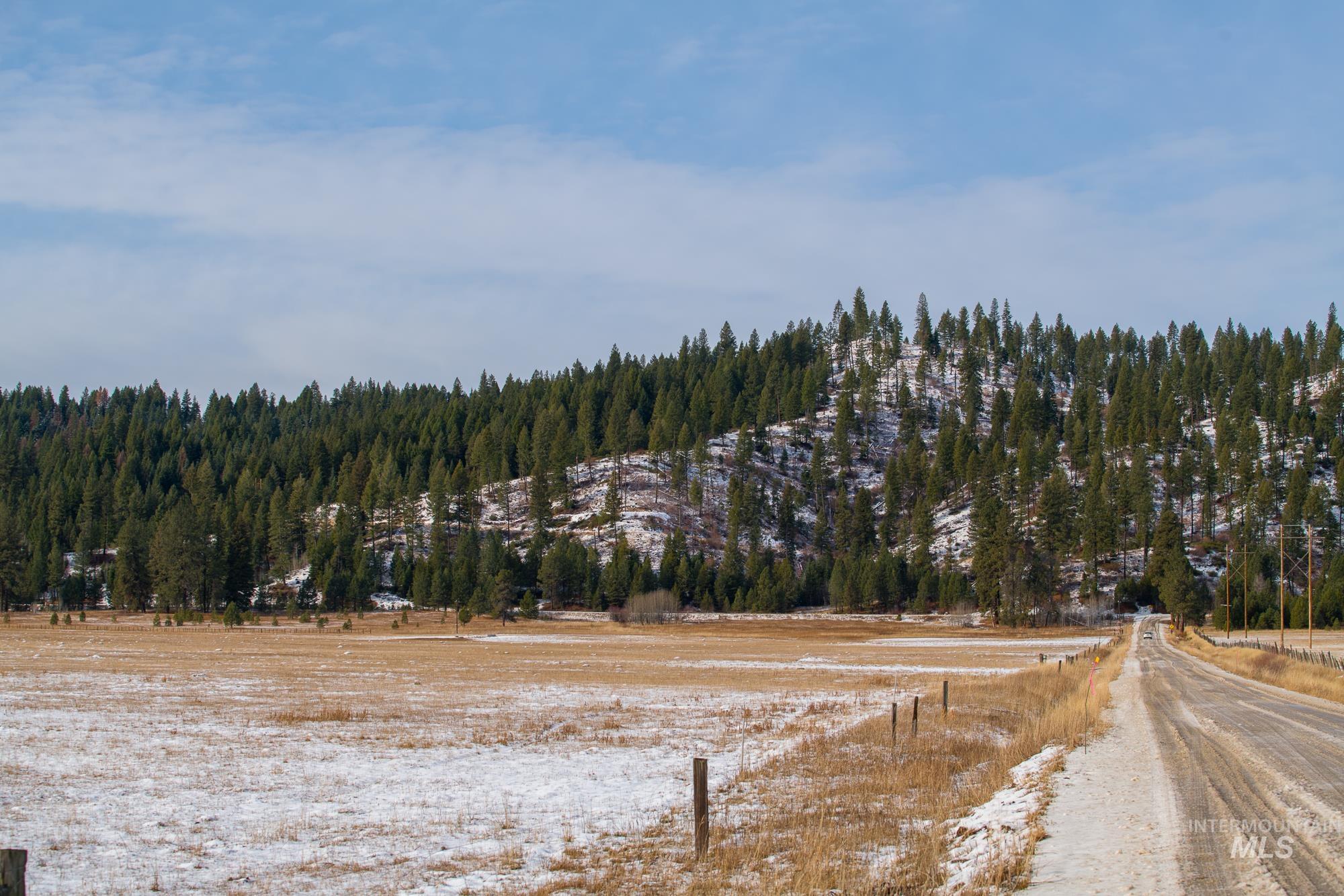 163.21 AC Gray Lane, Cascade, Idaho 83611, Land For Sale, Price $649,900, 98978628