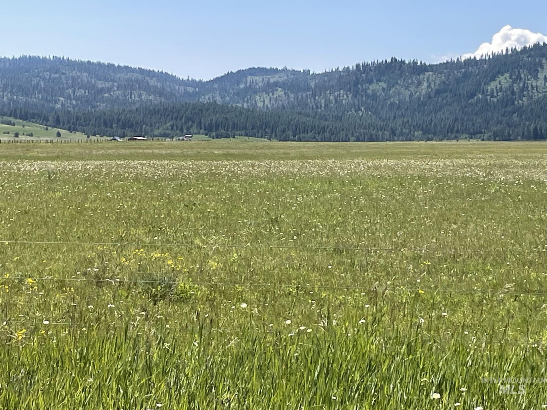163.21 AC Gray Lane, Cascade, Idaho 83611, Land For Sale, Price $649,900, 98978628