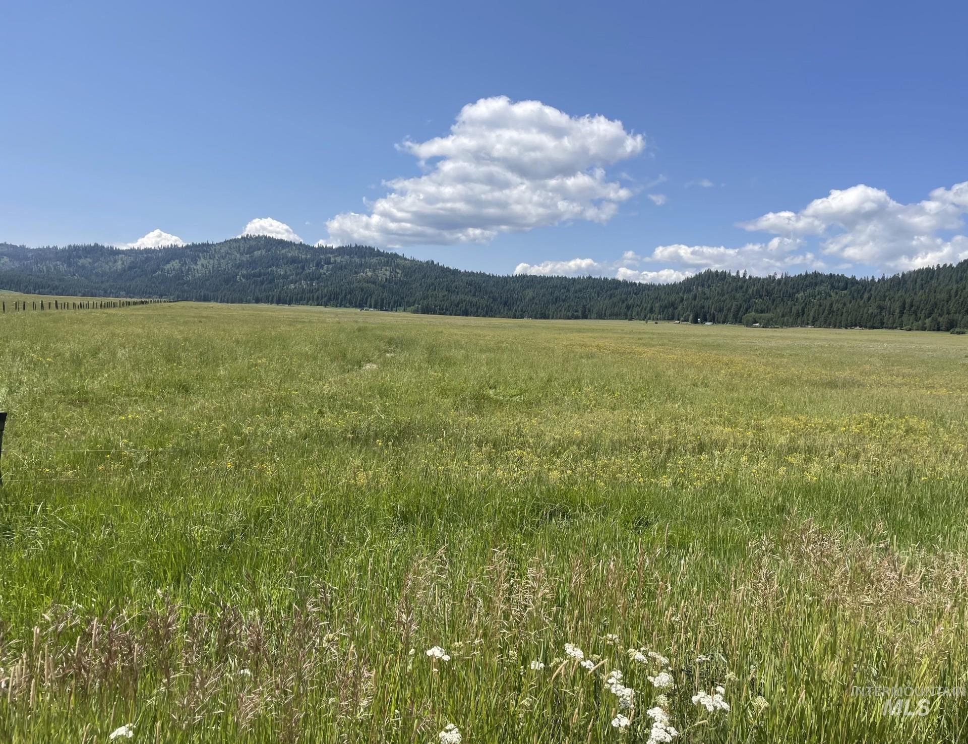 163.21 AC Gray Lane, Cascade, Idaho 83611, Land For Sale, Price $649,900, 98978628