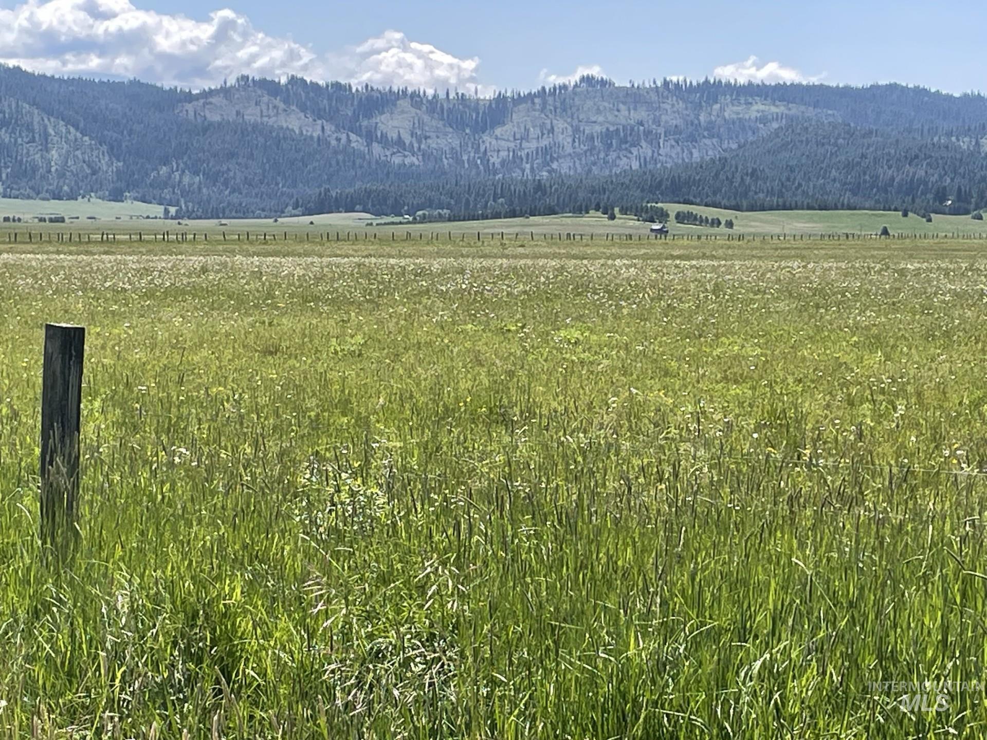 163.21 AC Gray Lane, Cascade, Idaho 83611, Land For Sale, Price $649,900, 98978628