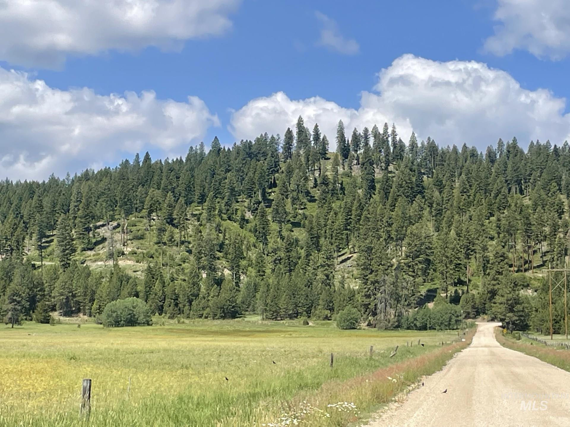 163.21 AC Gray Lane, Cascade, Idaho 83611, Land For Sale, Price $649,900, 98978628