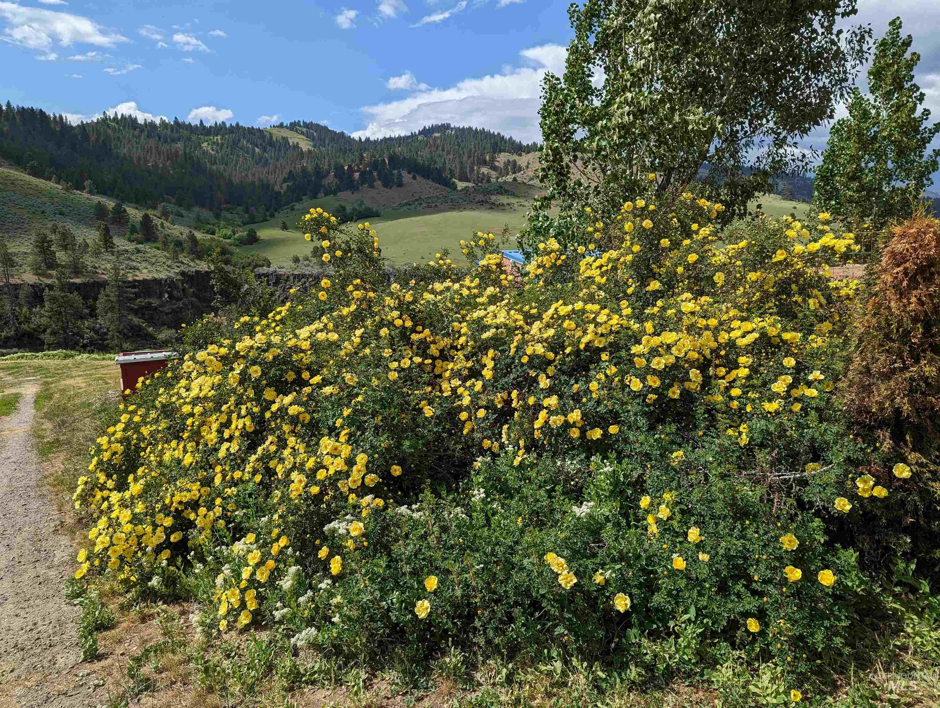 376 Rimview Dr., Boise, Idaho 83716, 3 Bedrooms, 2 Bathrooms, Residential For Sale, Price $544,900, 98978649