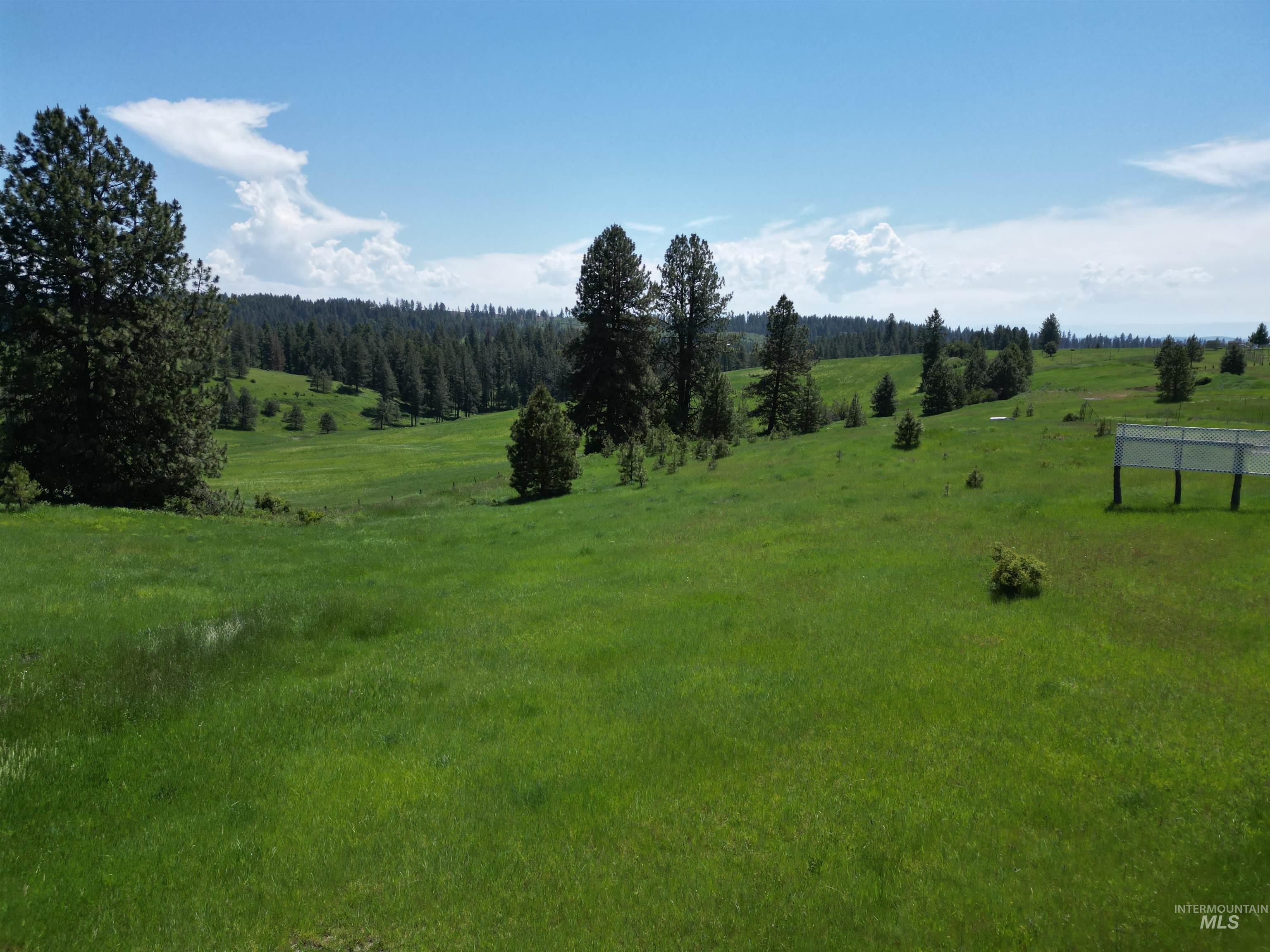 135 Harrisburg Lane, Kamiah, Idaho 83536, 3 Bedrooms, 2 Bathrooms, Residential For Sale, Price $349,000, 98978696
