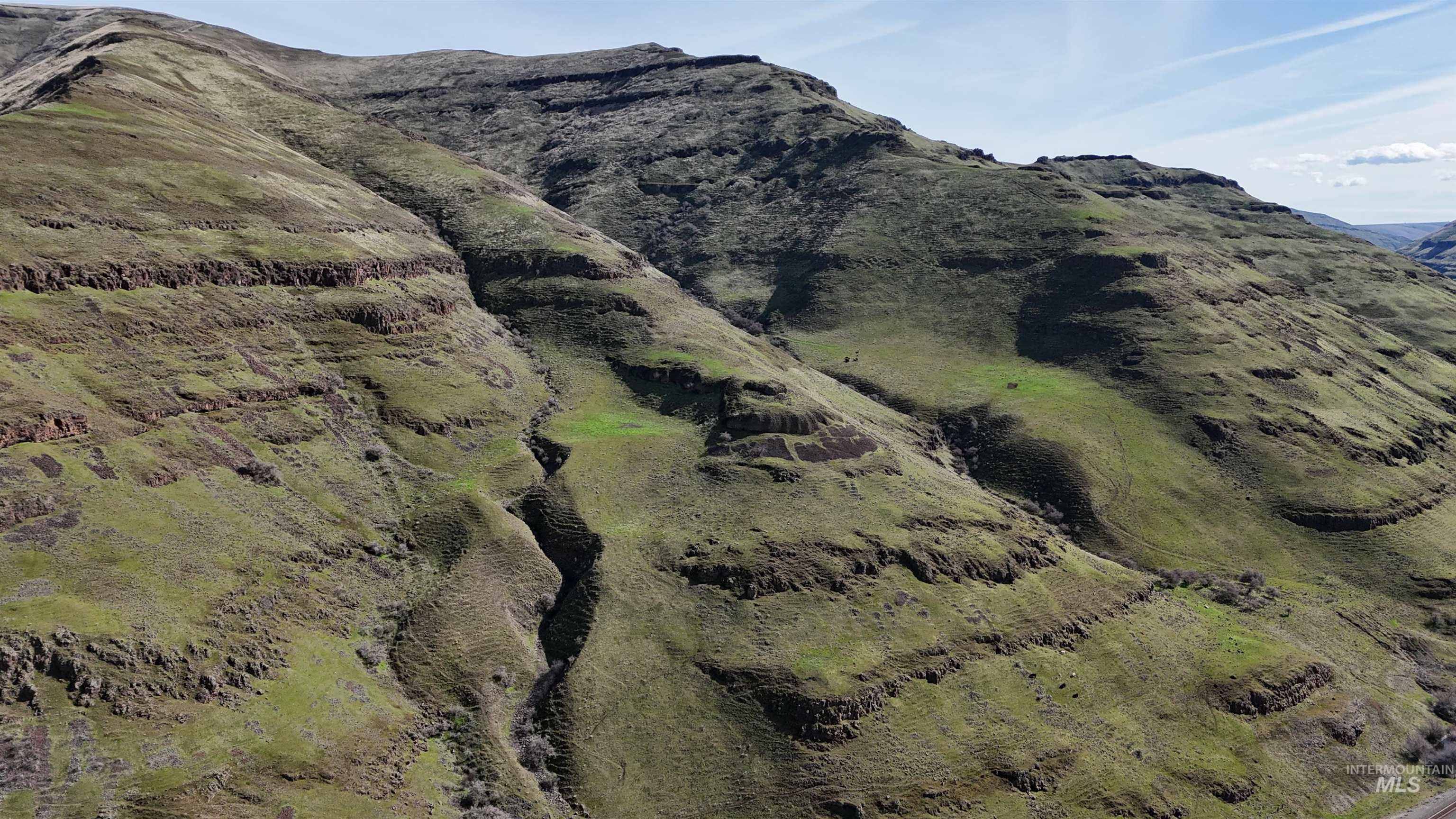 TBD Wawawai Rd, Colton, Washington 99113, Land For Sale, Price $200,000,MLS 98978713