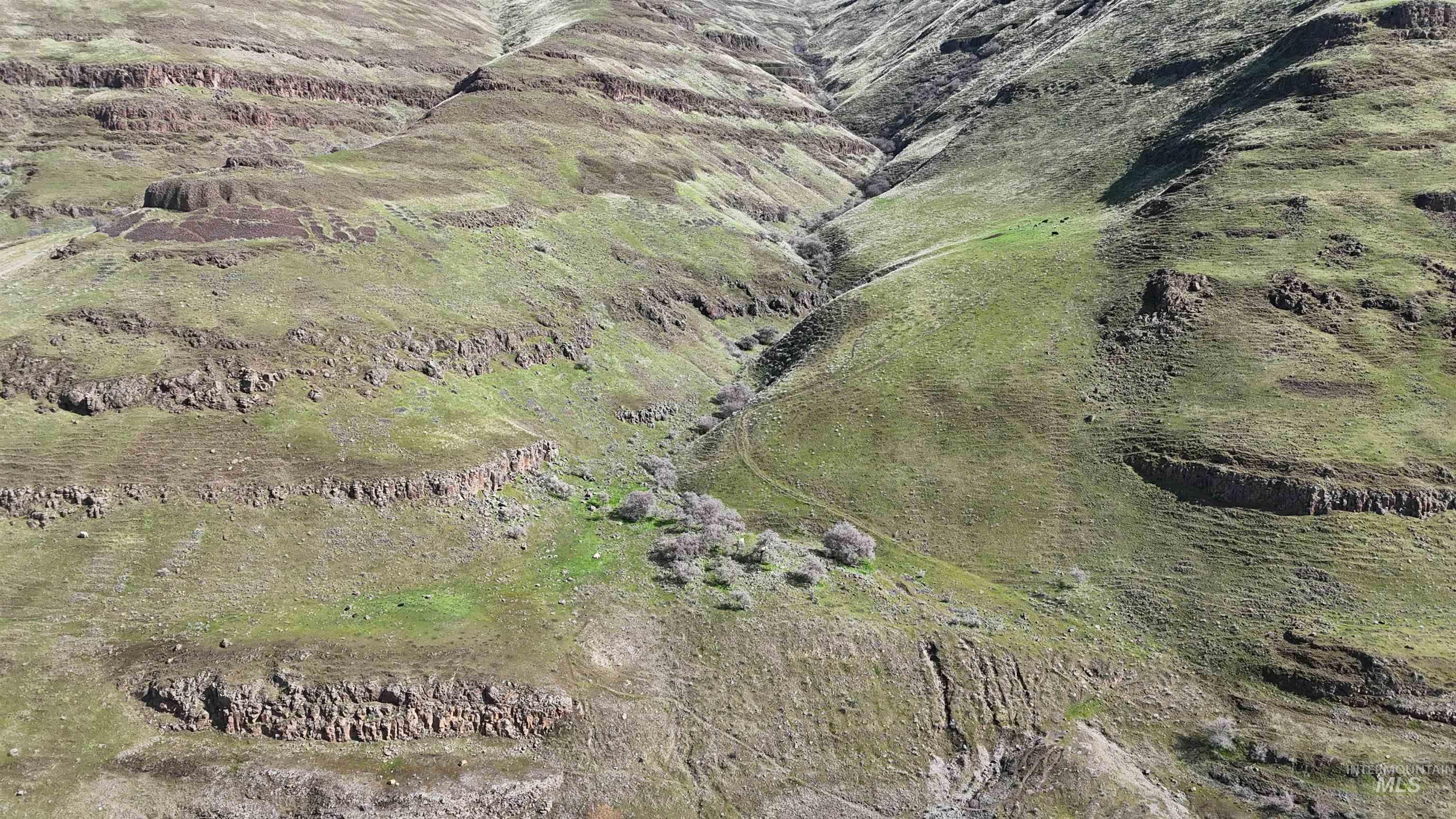 TBD Wawawai Rd, Colton, Washington 99113, Land For Sale, Price $200,000,MLS 98978713