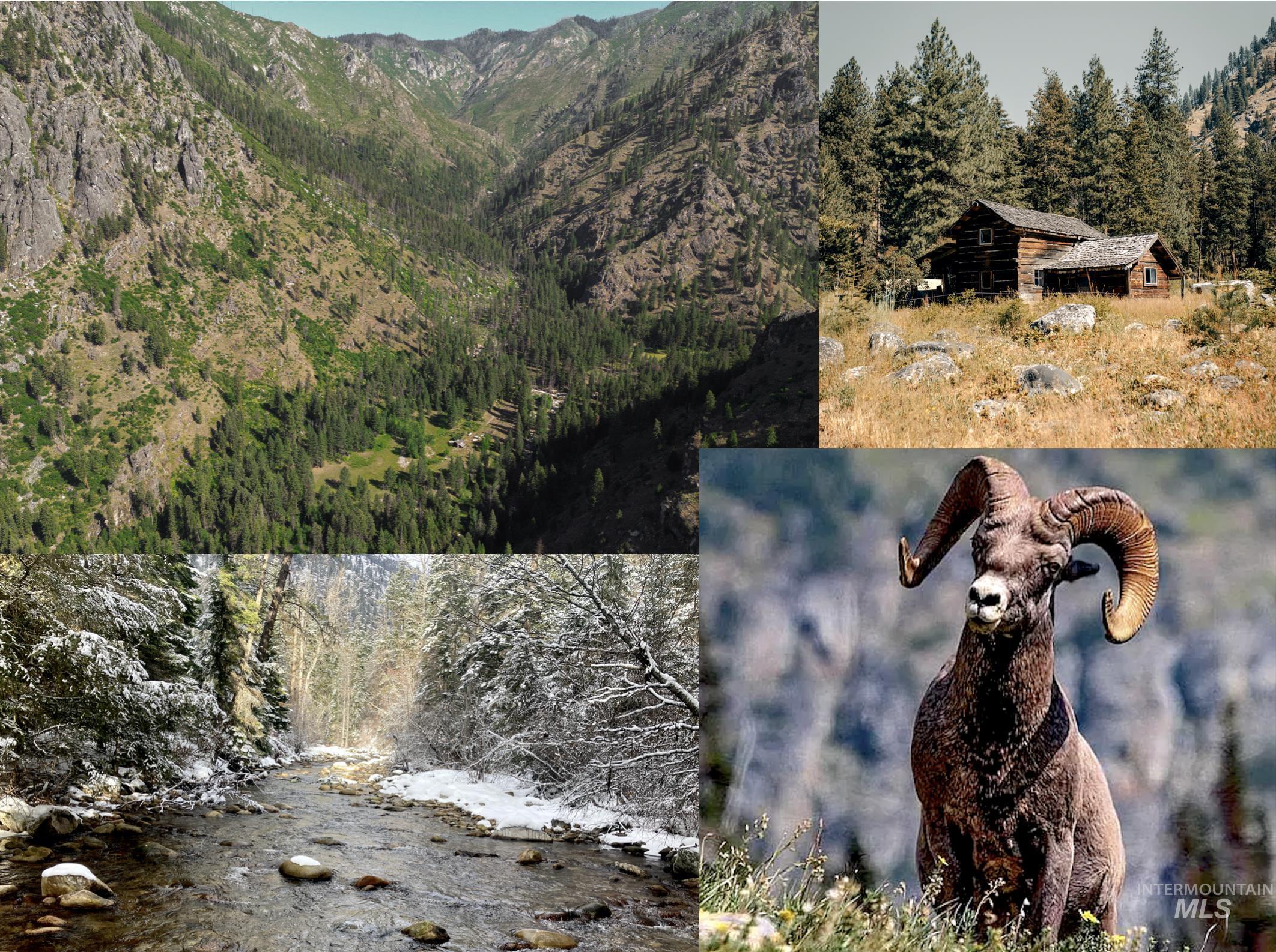 3869 Big Salmon River Rd, Riggins, Idaho 83549, 1 Bedroom, Farm & Ranch For Sale, Price $975,000,MLS 98978722