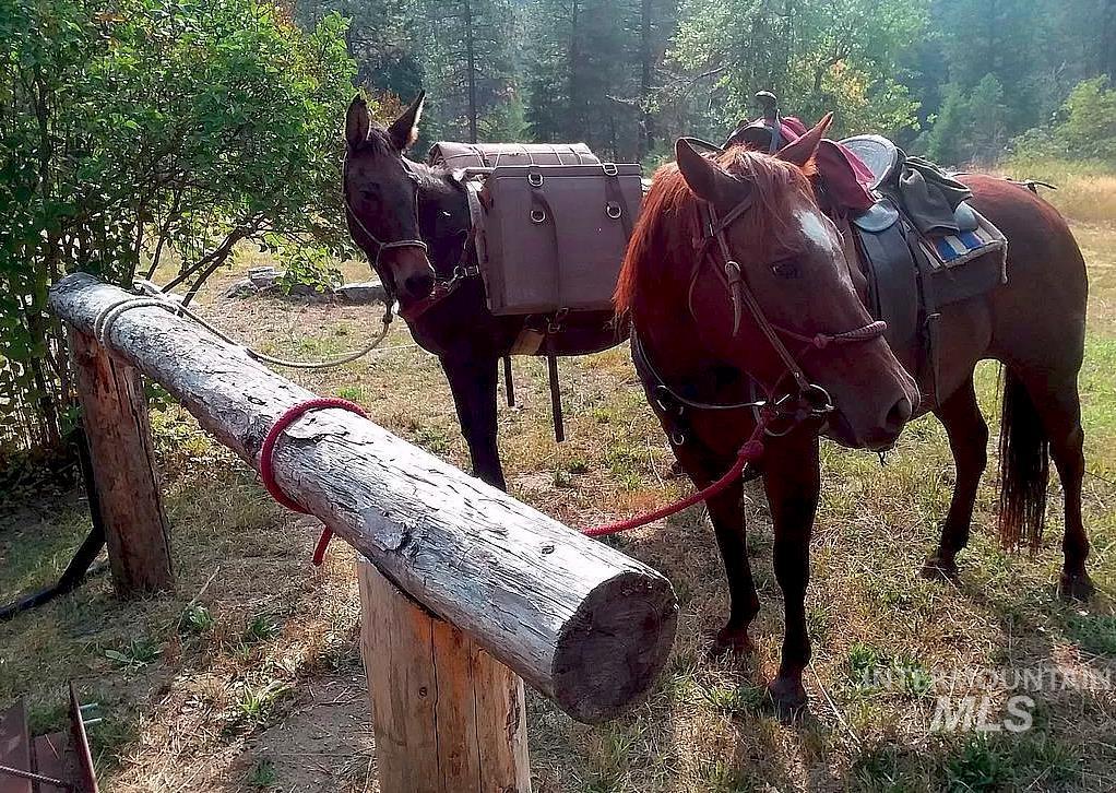 3869 Big Salmon River Rd, Riggins, Idaho 83549, 1 Bedroom, Farm & Ranch For Sale, Price $975,000,MLS 98978722