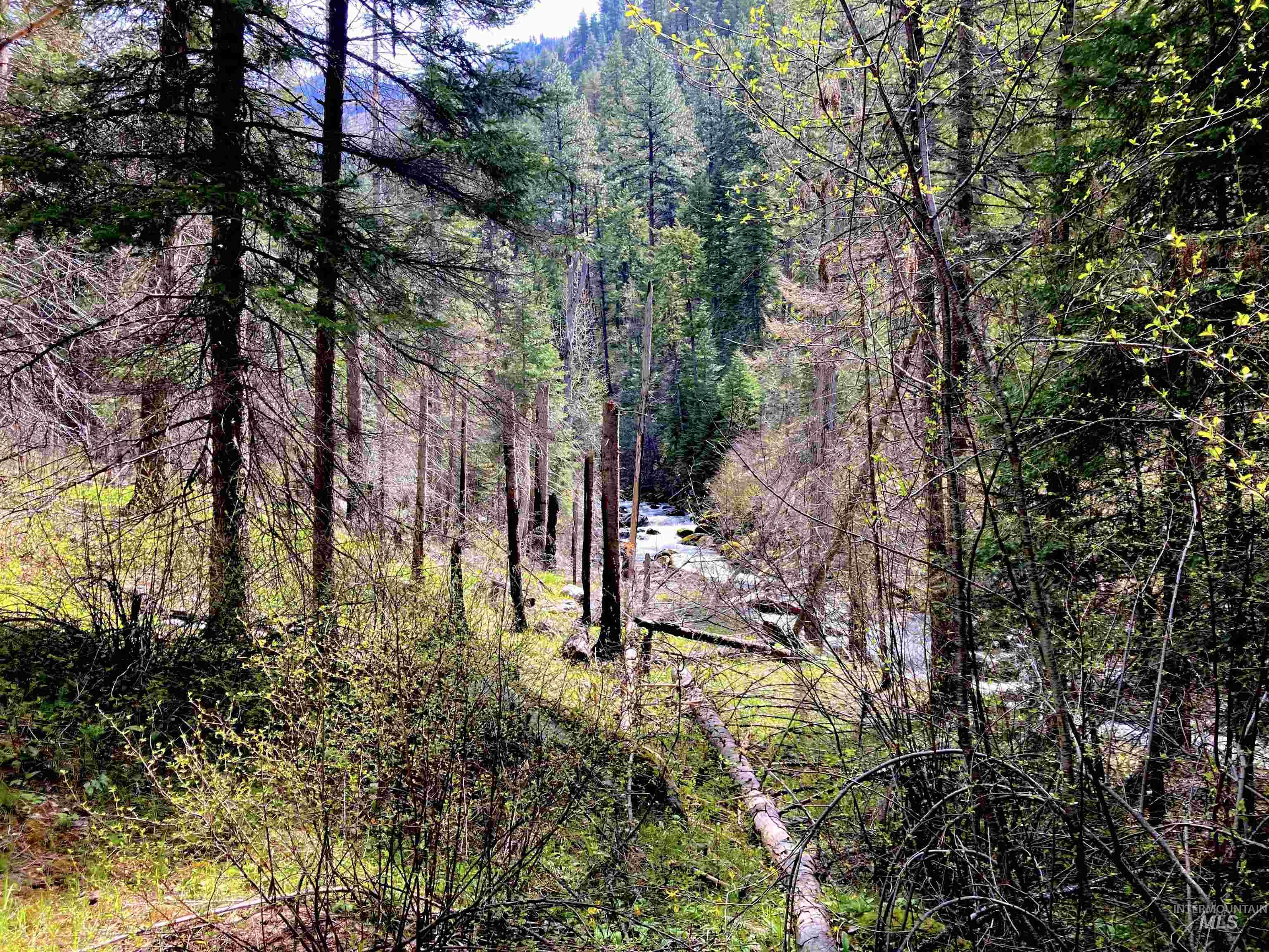 3869 Big Salmon River Rd, Riggins, Idaho 83549, 1 Bedroom, Farm & Ranch For Sale, Price $975,000,MLS 98978722