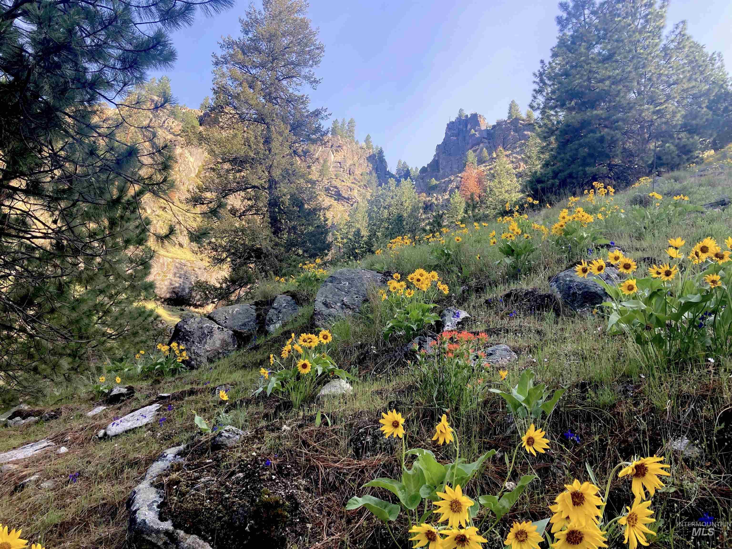 3869 Big Salmon River Rd, Riggins, Idaho 83549, 1 Bedroom, Farm & Ranch For Sale, Price $975,000,MLS 98978722