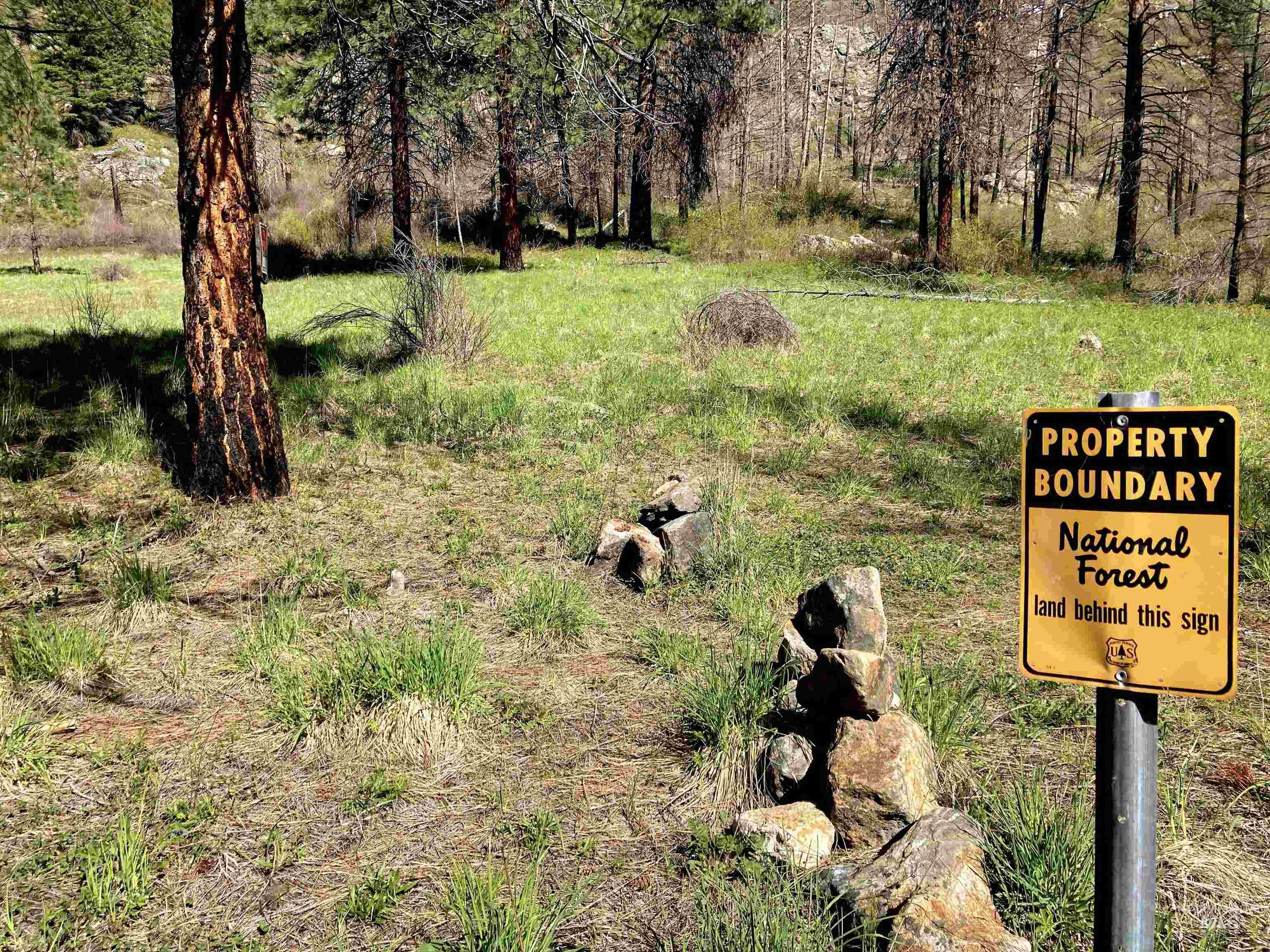 3869 Big Salmon River Rd, Riggins, Idaho 83549, 1 Bedroom, Farm & Ranch For Sale, Price $975,000,MLS 98978722