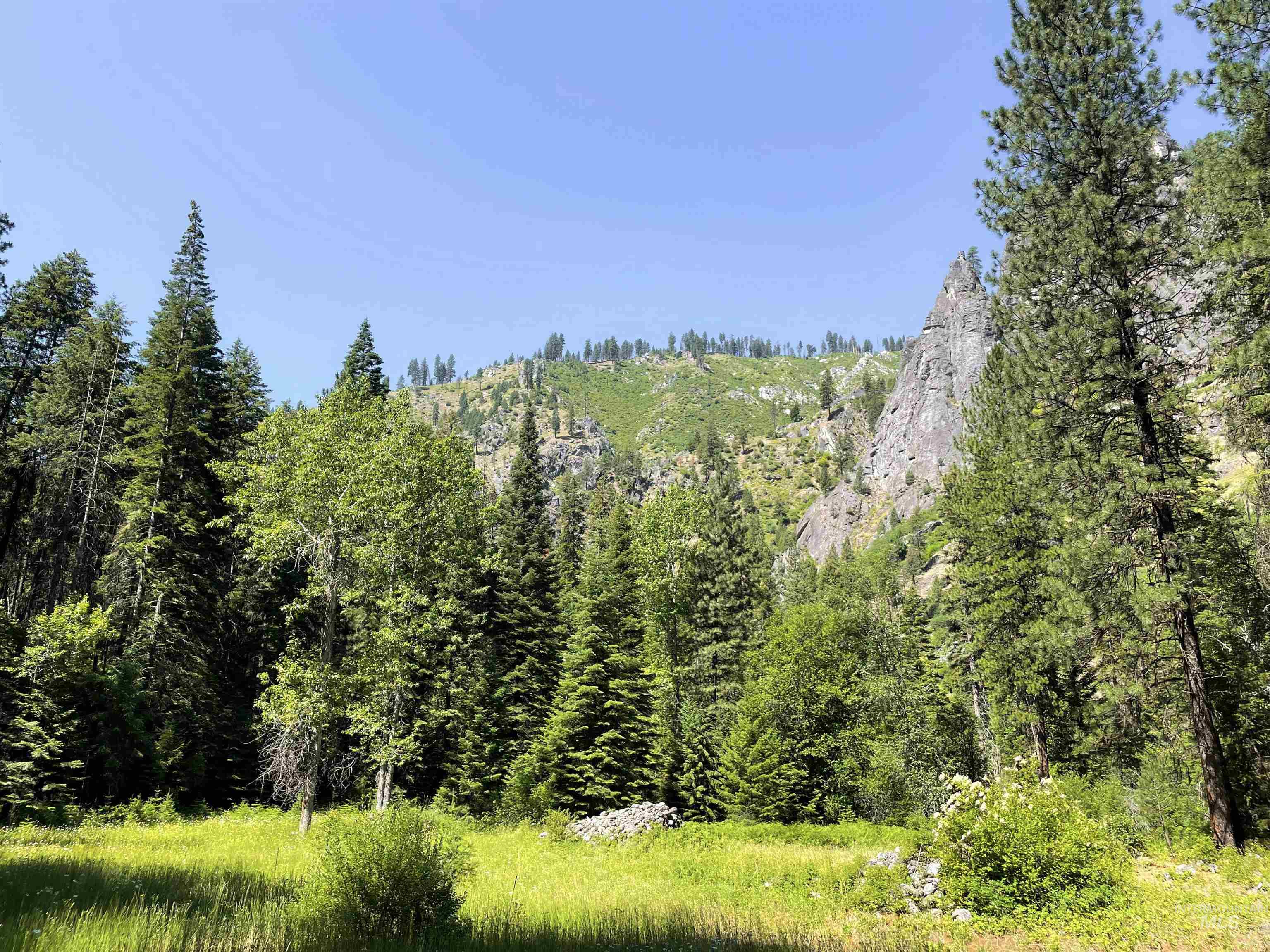 3869 Big Salmon River Rd, Riggins, Idaho 83549, 1 Bedroom, Farm & Ranch For Sale, Price $975,000,MLS 98978722