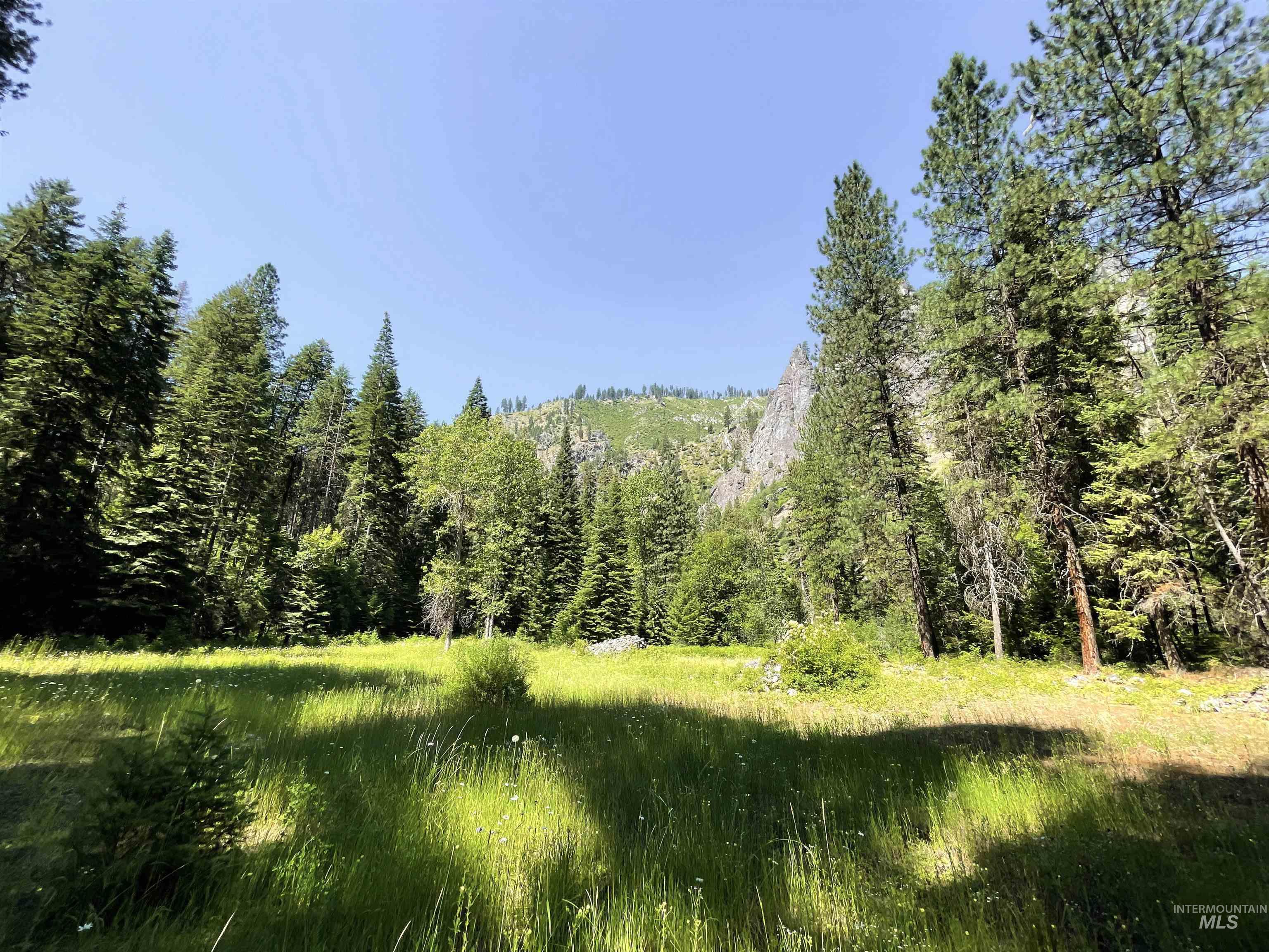 3869 Big Salmon River Rd, Riggins, Idaho 83549, 1 Bedroom, Farm & Ranch For Sale, Price $975,000,MLS 98978722