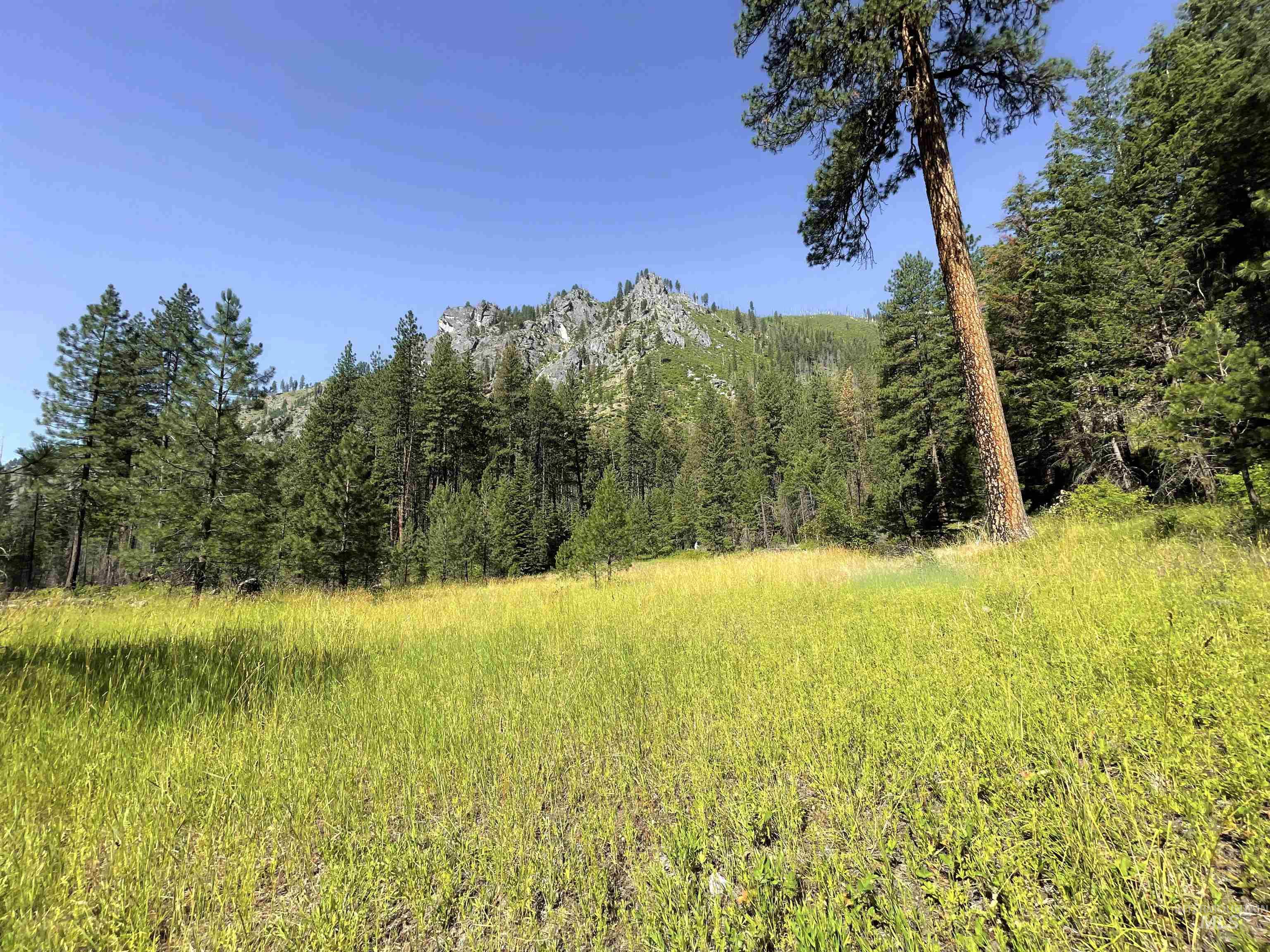 3869 Big Salmon River Rd, Riggins, Idaho 83549, 1 Bedroom, Farm & Ranch For Sale, Price $975,000,MLS 98978722