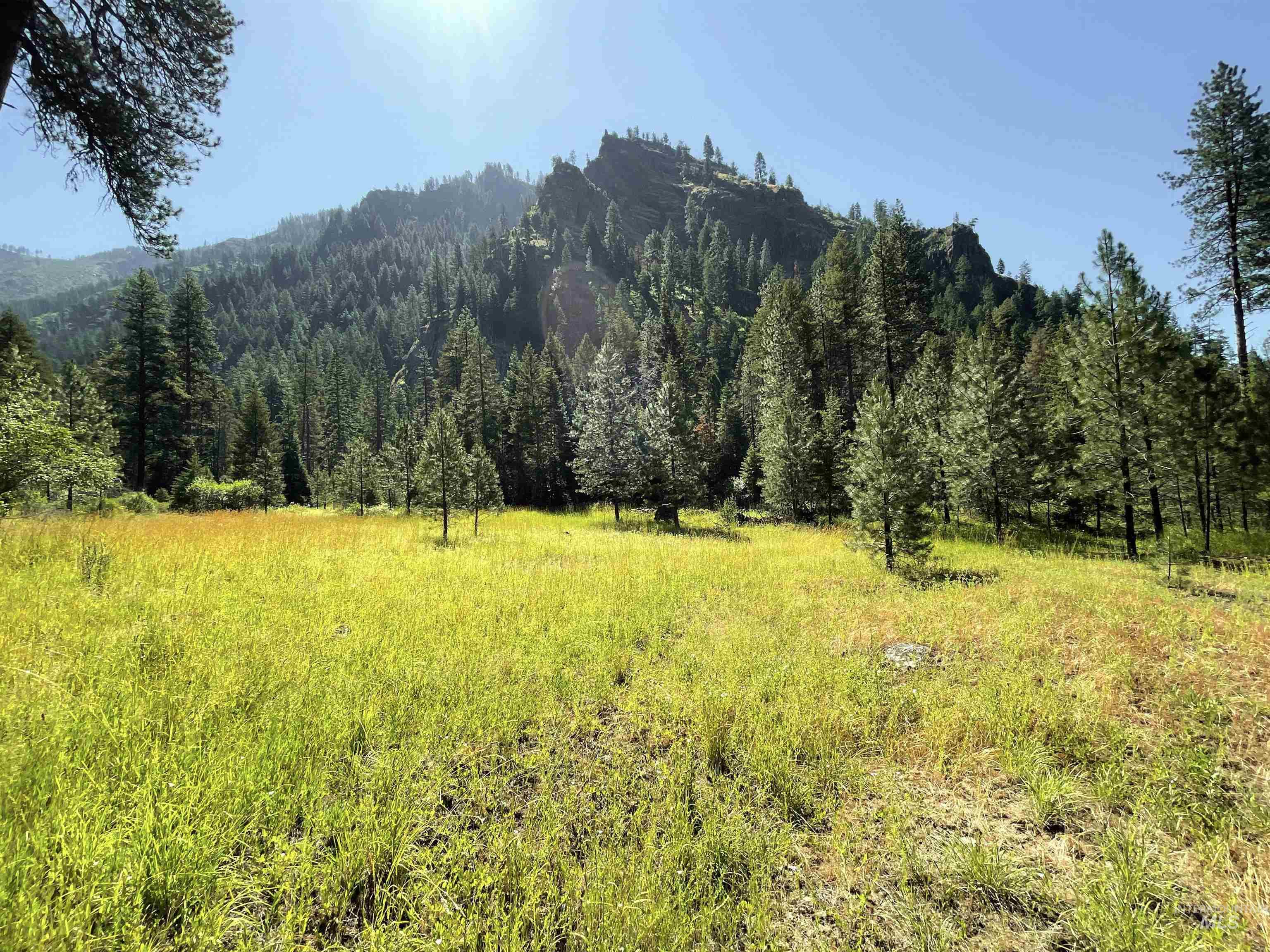 3869 Big Salmon River Rd, Riggins, Idaho 83549, 1 Bedroom, Farm & Ranch For Sale, Price $975,000,MLS 98978722