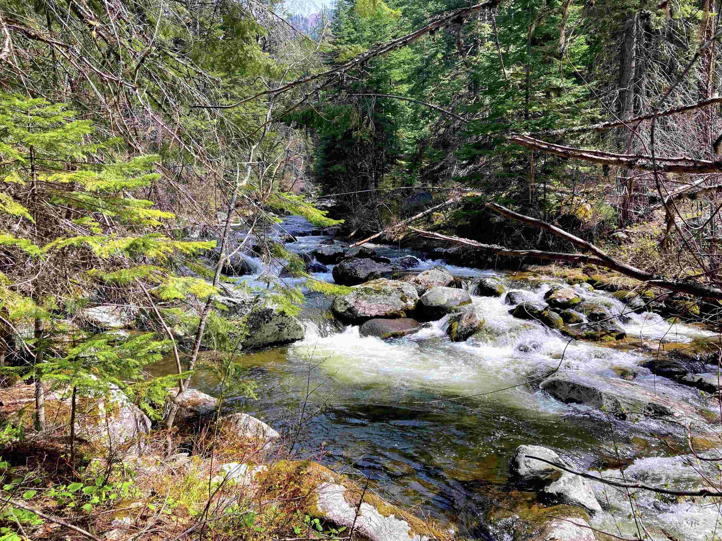 3869 Big Salmon River Rd, Riggins, Idaho 83549, 1 Bedroom, Farm & Ranch For Sale, Price $975,000,MLS 98978722