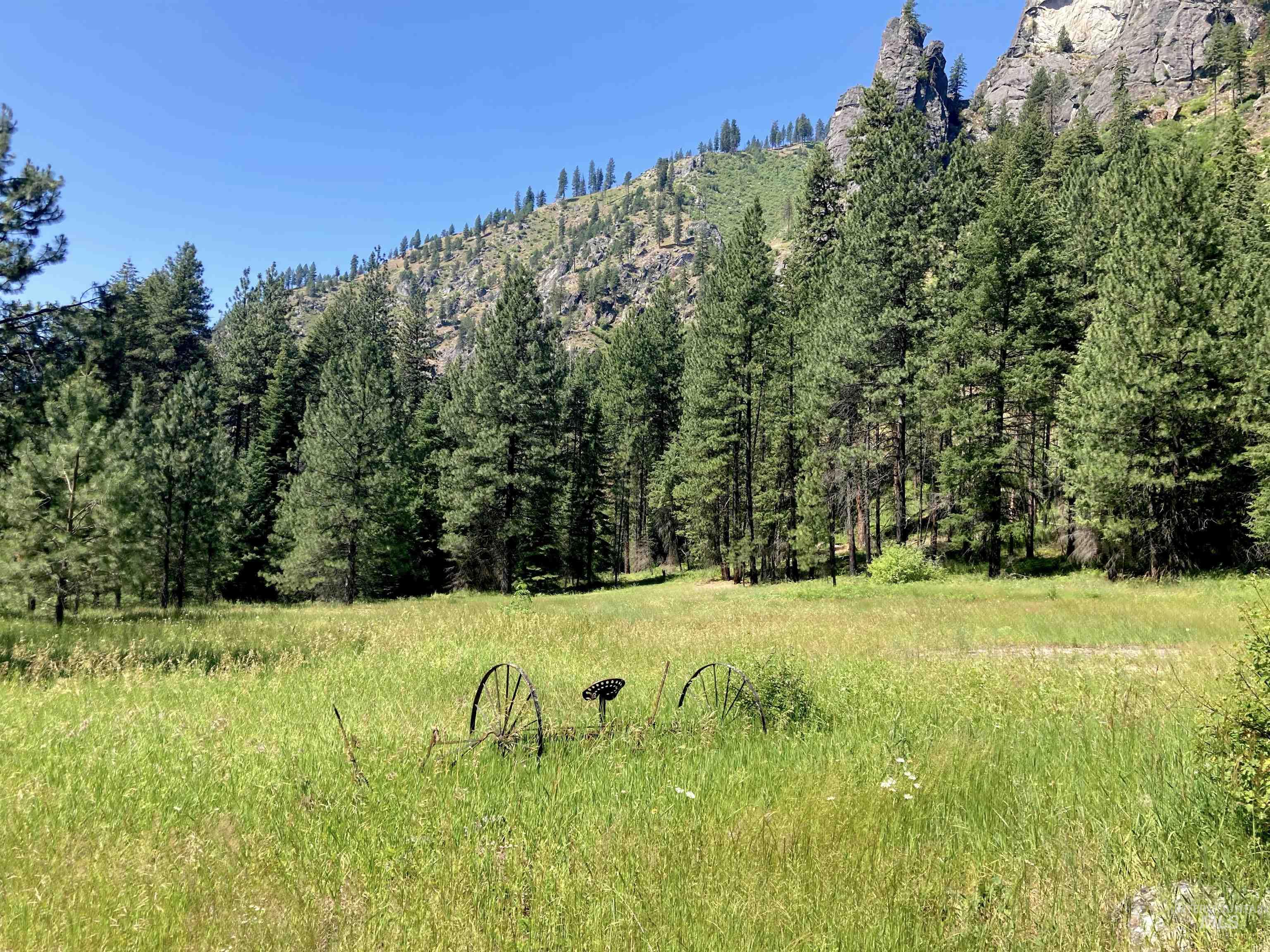 3869 Big Salmon River Rd, Riggins, Idaho 83549, 1 Bedroom, Farm & Ranch For Sale, Price $975,000,MLS 98978722