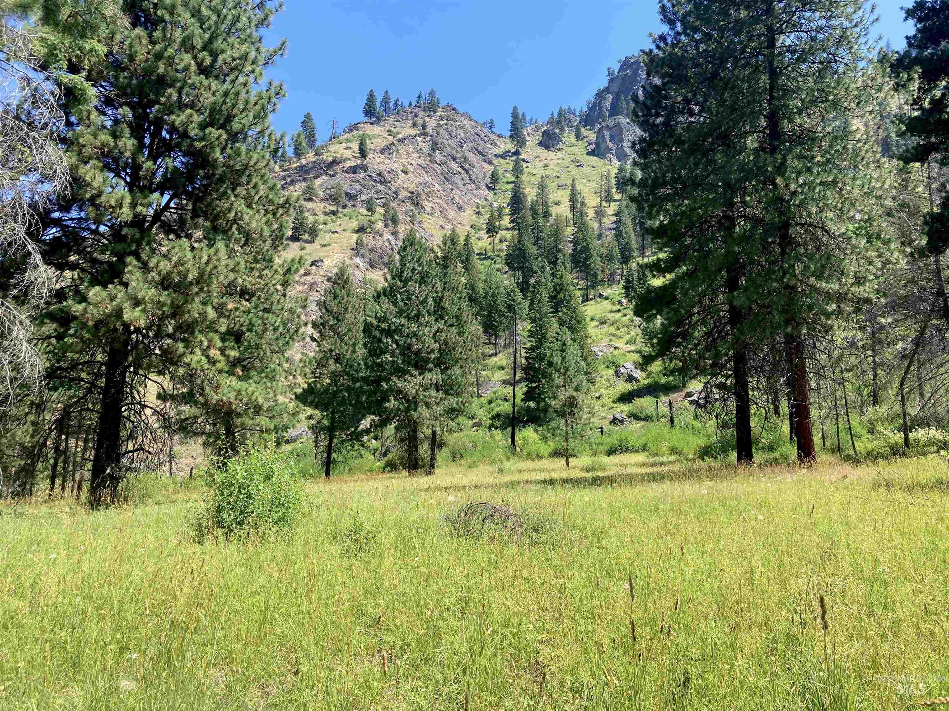 3869 Big Salmon River Rd, Riggins, Idaho 83549, 1 Bedroom, Farm & Ranch For Sale, Price $975,000,MLS 98978722