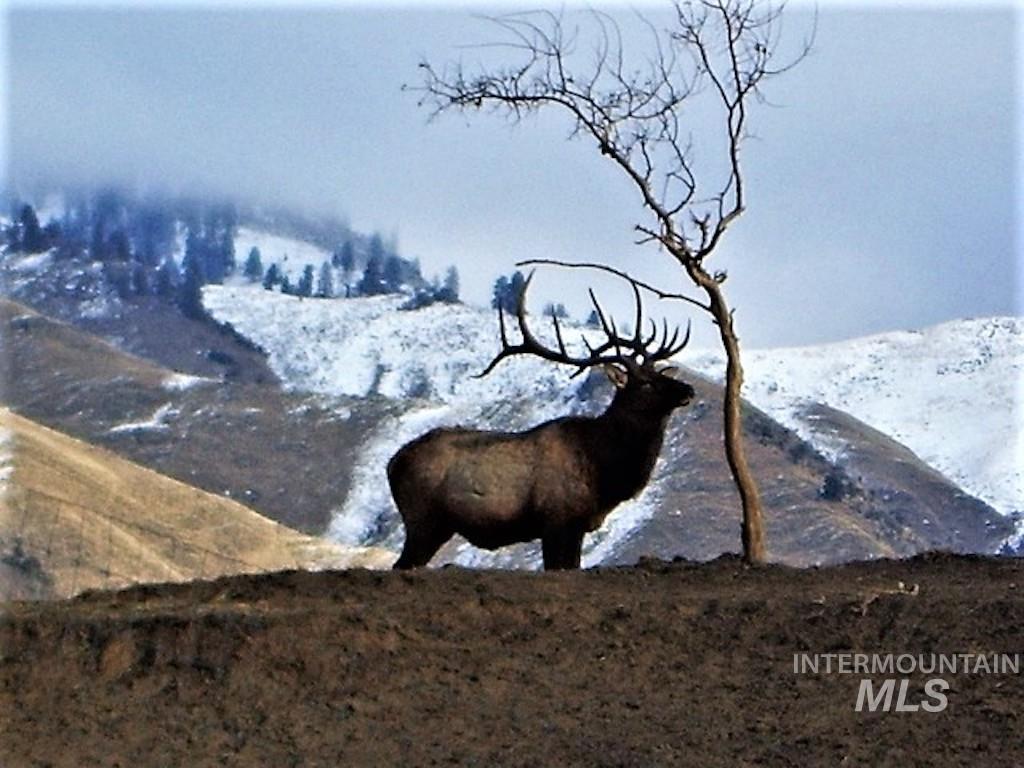 3869 Big Salmon River Rd, Riggins, Idaho 83549, 1 Bedroom, Farm & Ranch For Sale, Price $975,000,MLS 98978722