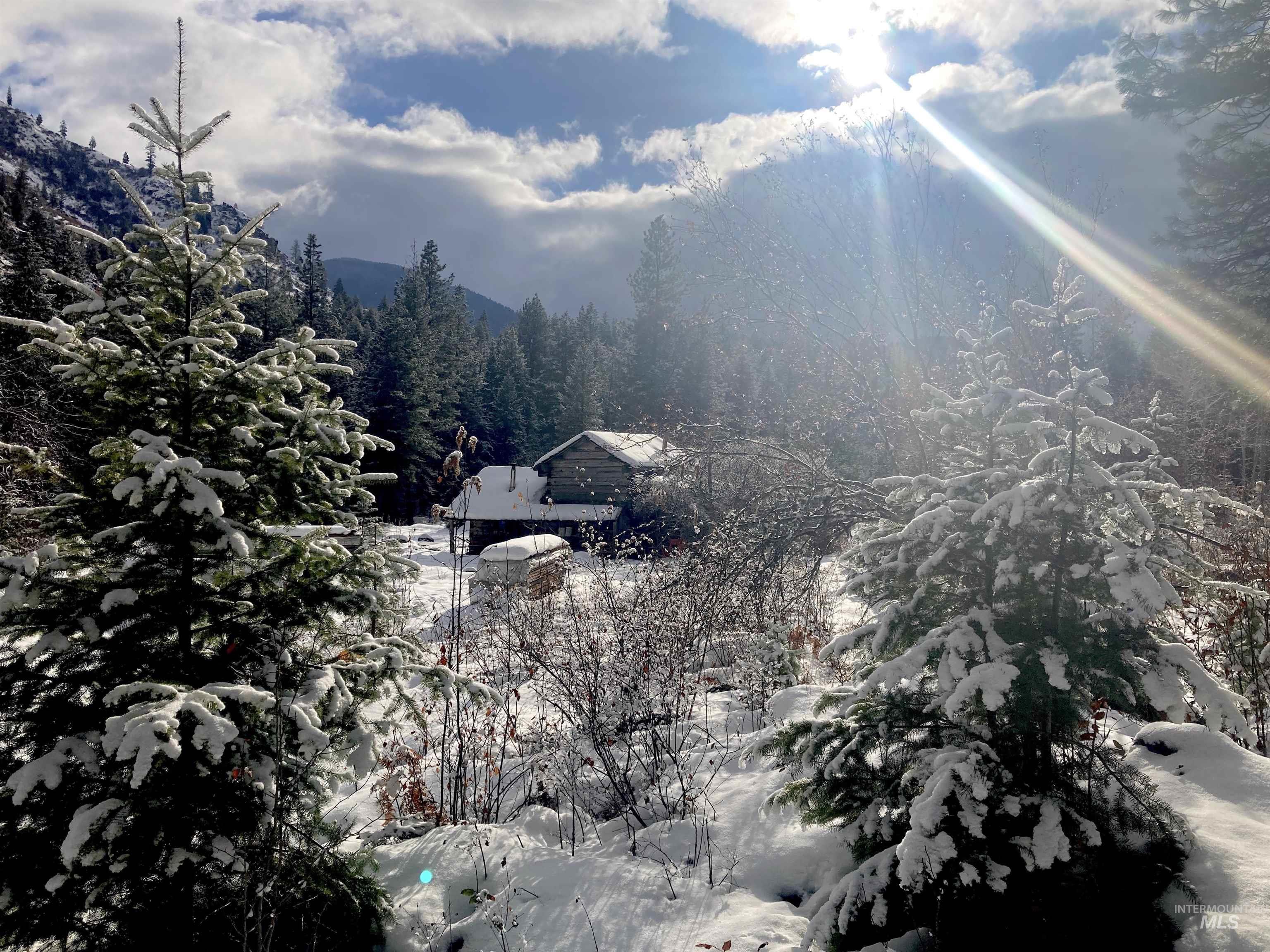 3869 Big Salmon River Rd, Riggins, Idaho 83549, 1 Bedroom, Farm & Ranch For Sale, Price $975,000,MLS 98978722