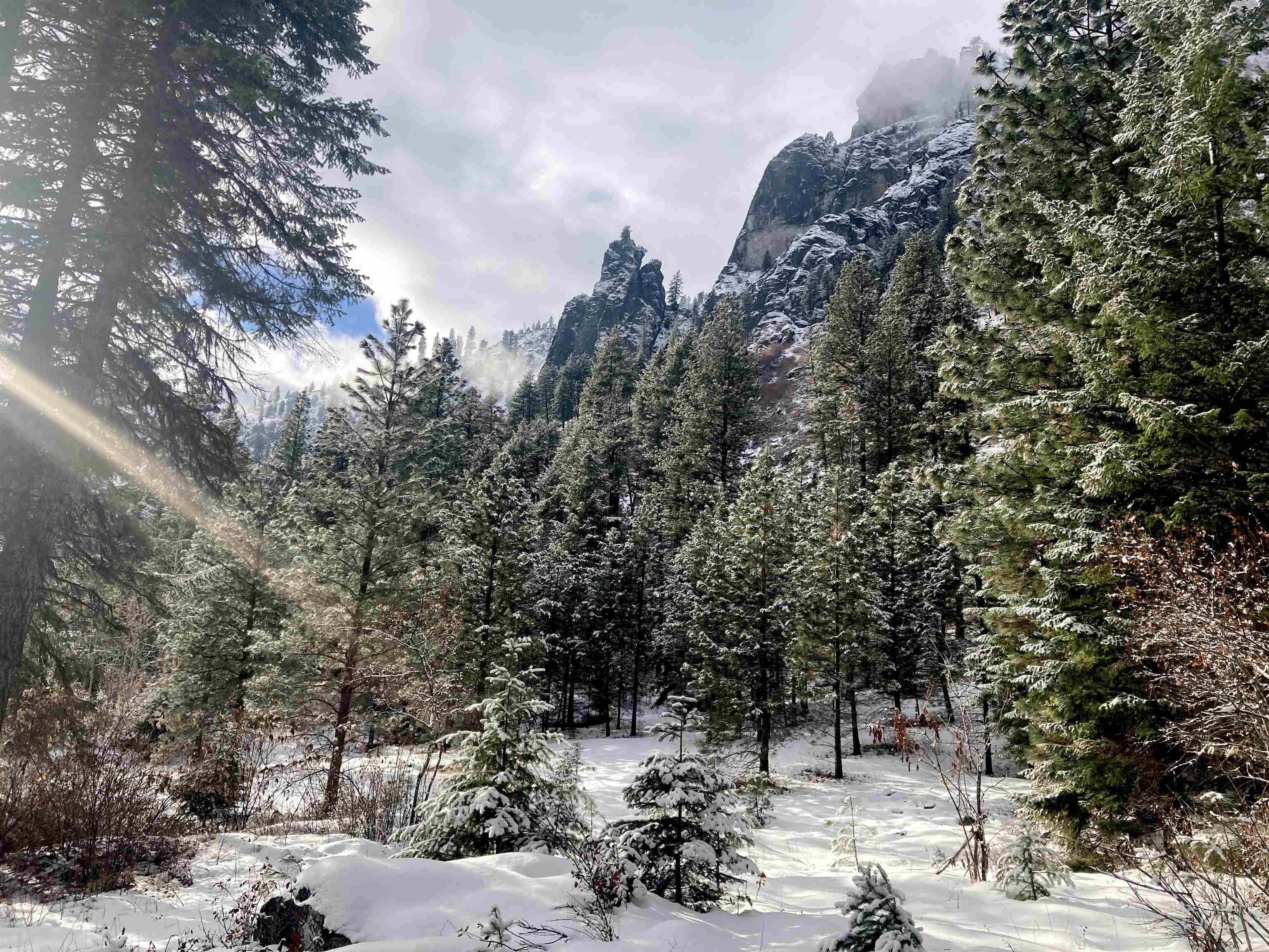 3869 Big Salmon River Rd, Riggins, Idaho 83549, 1 Bedroom, Farm & Ranch For Sale, Price $975,000,MLS 98978722