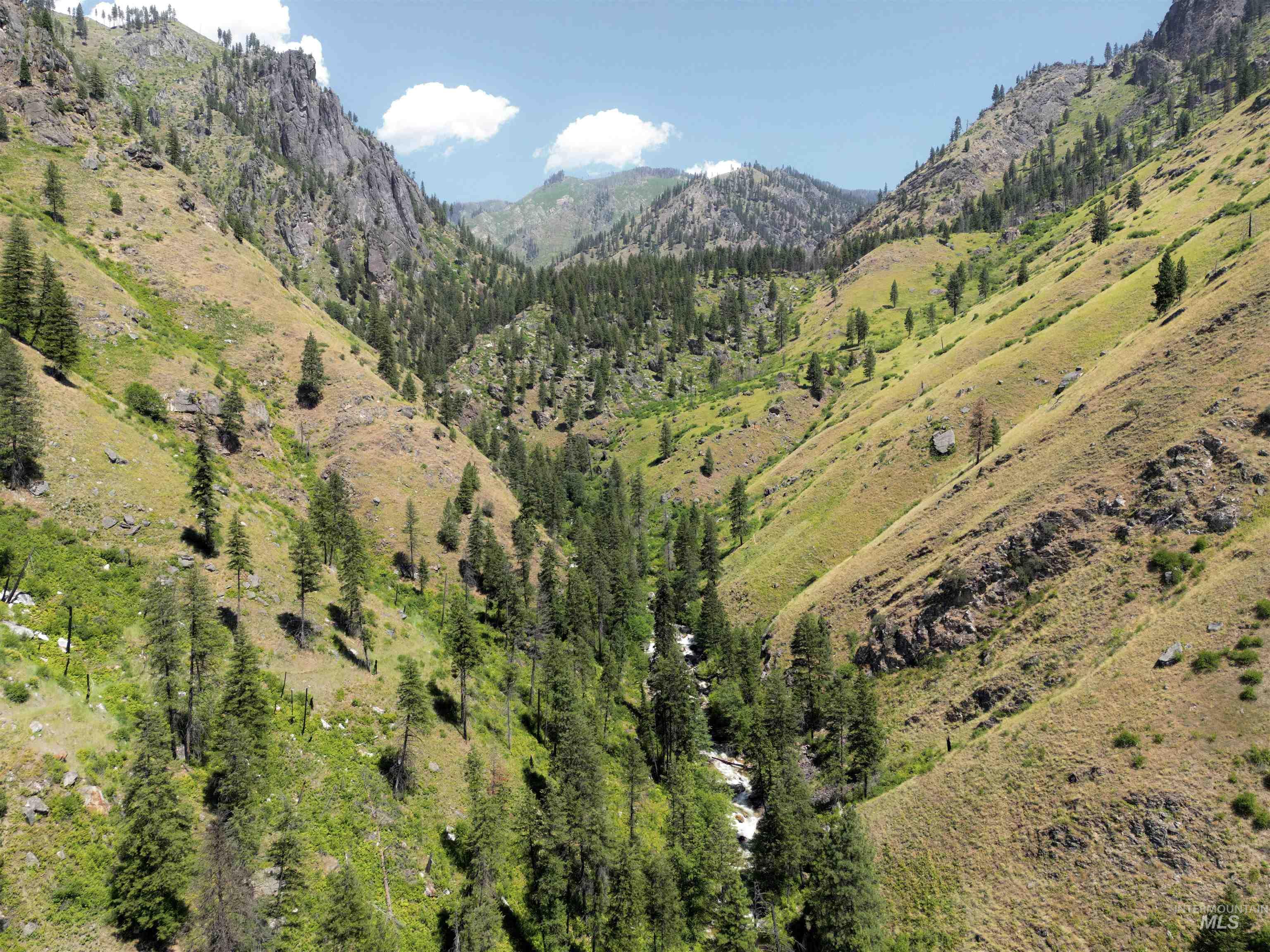 3869 Big Salmon River Rd, Riggins, Idaho 83549, 1 Bedroom, Farm & Ranch For Sale, Price $975,000,MLS 98978722